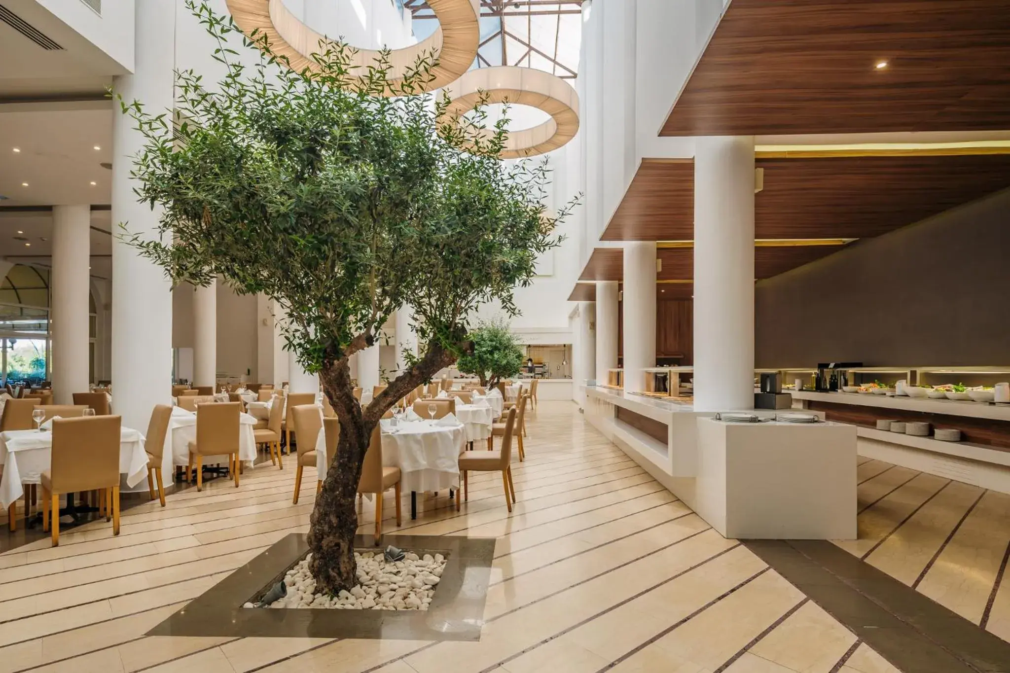 Restaurant/places to eat in Lindos Royal Resort Restaurant/places to eat in Lindos Royal Resort