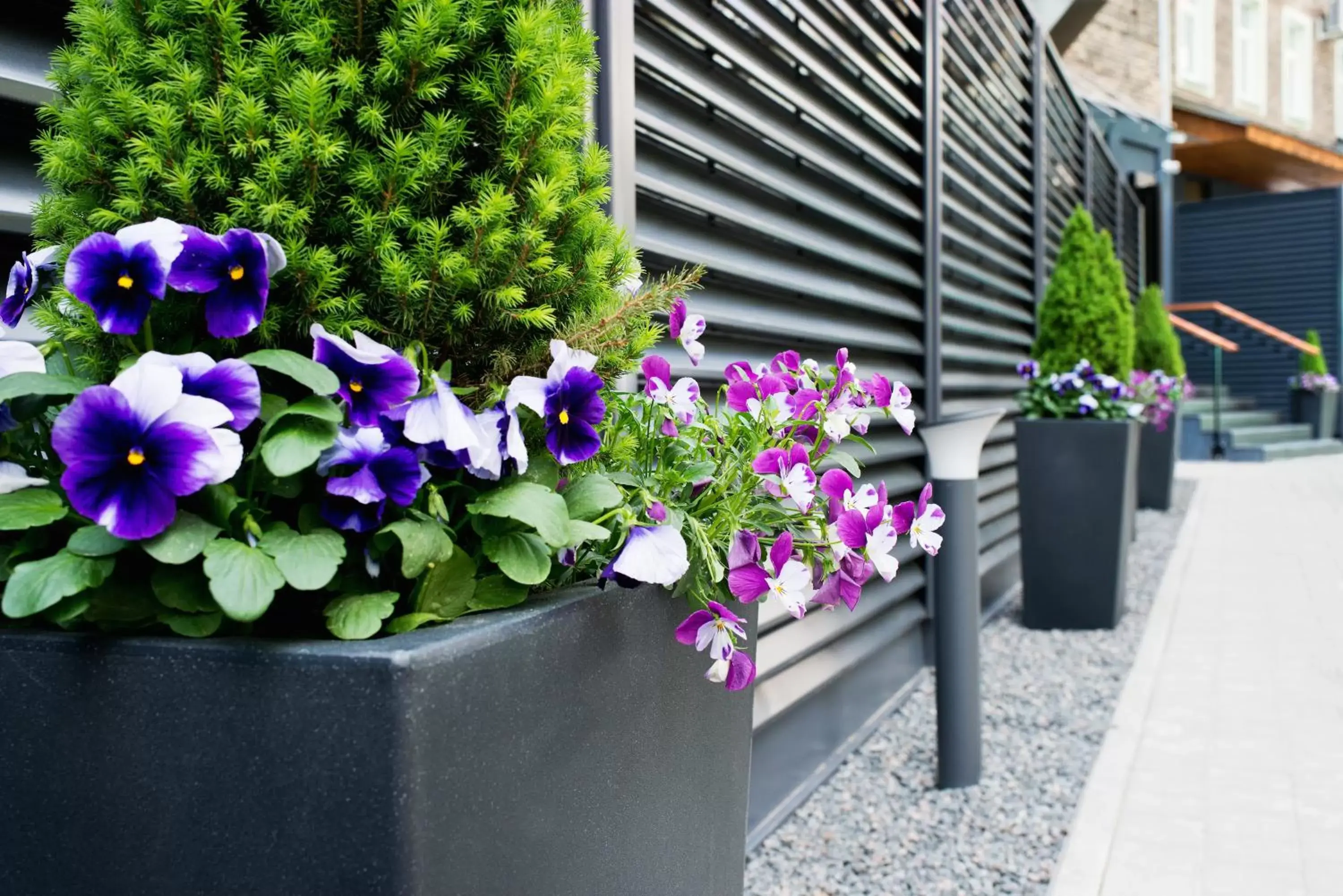 Facade/entrance in 15th Avenue Facade/entrance in 15th Avenue