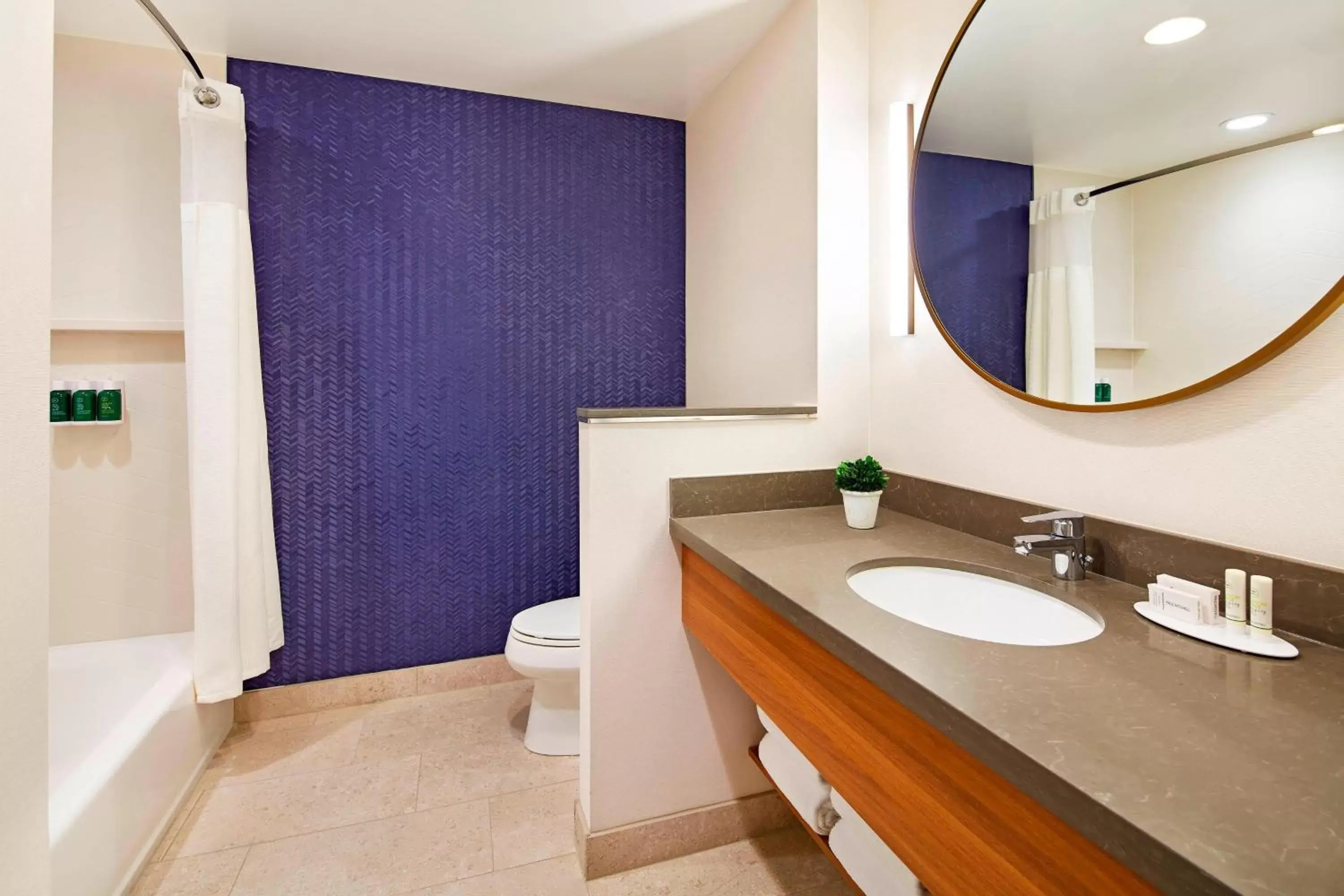 Bathroom in Fairfield by Marriott Inn & Suites Indio Coachella Valley
