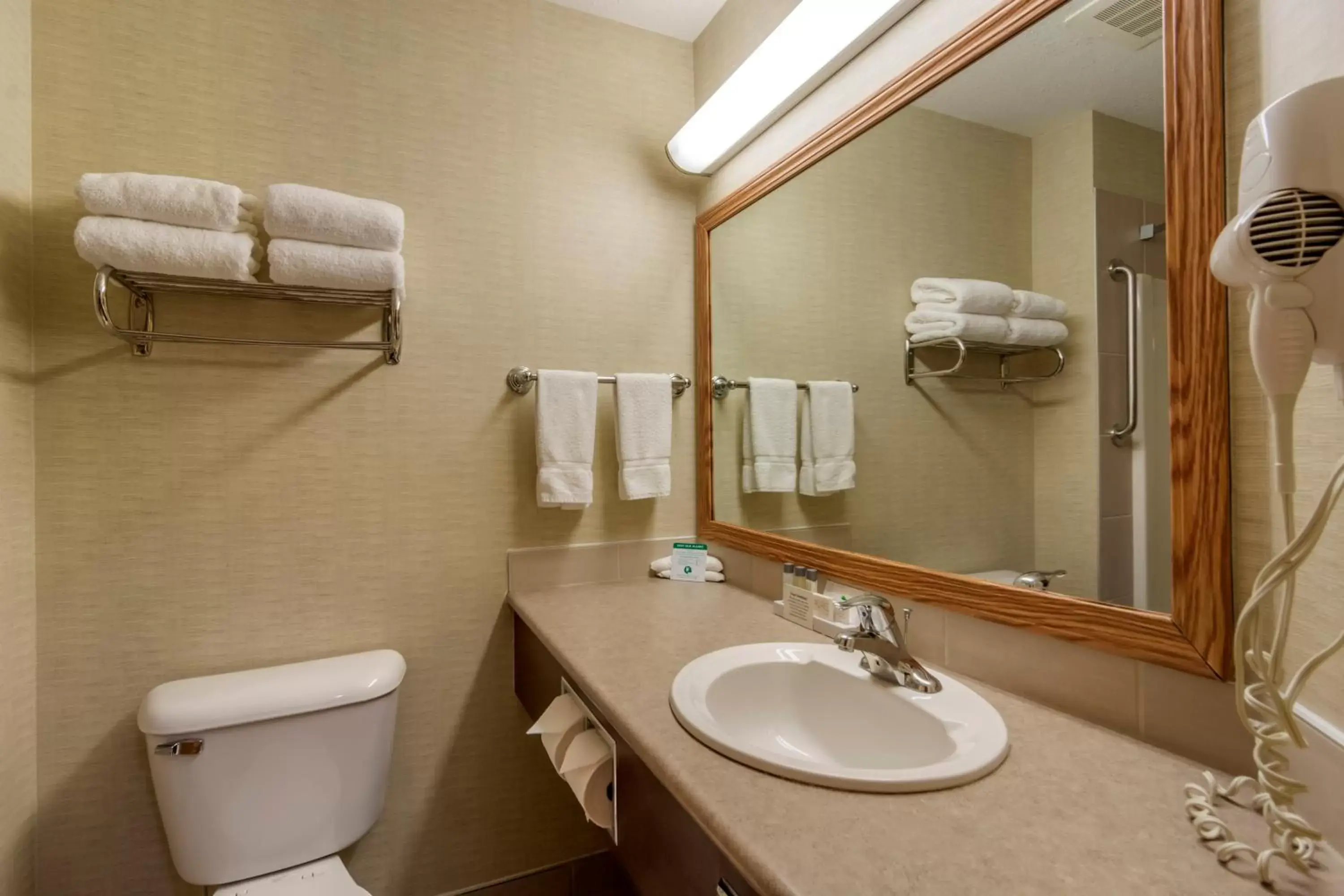 Bathroom in Devonian Hotel and Suites