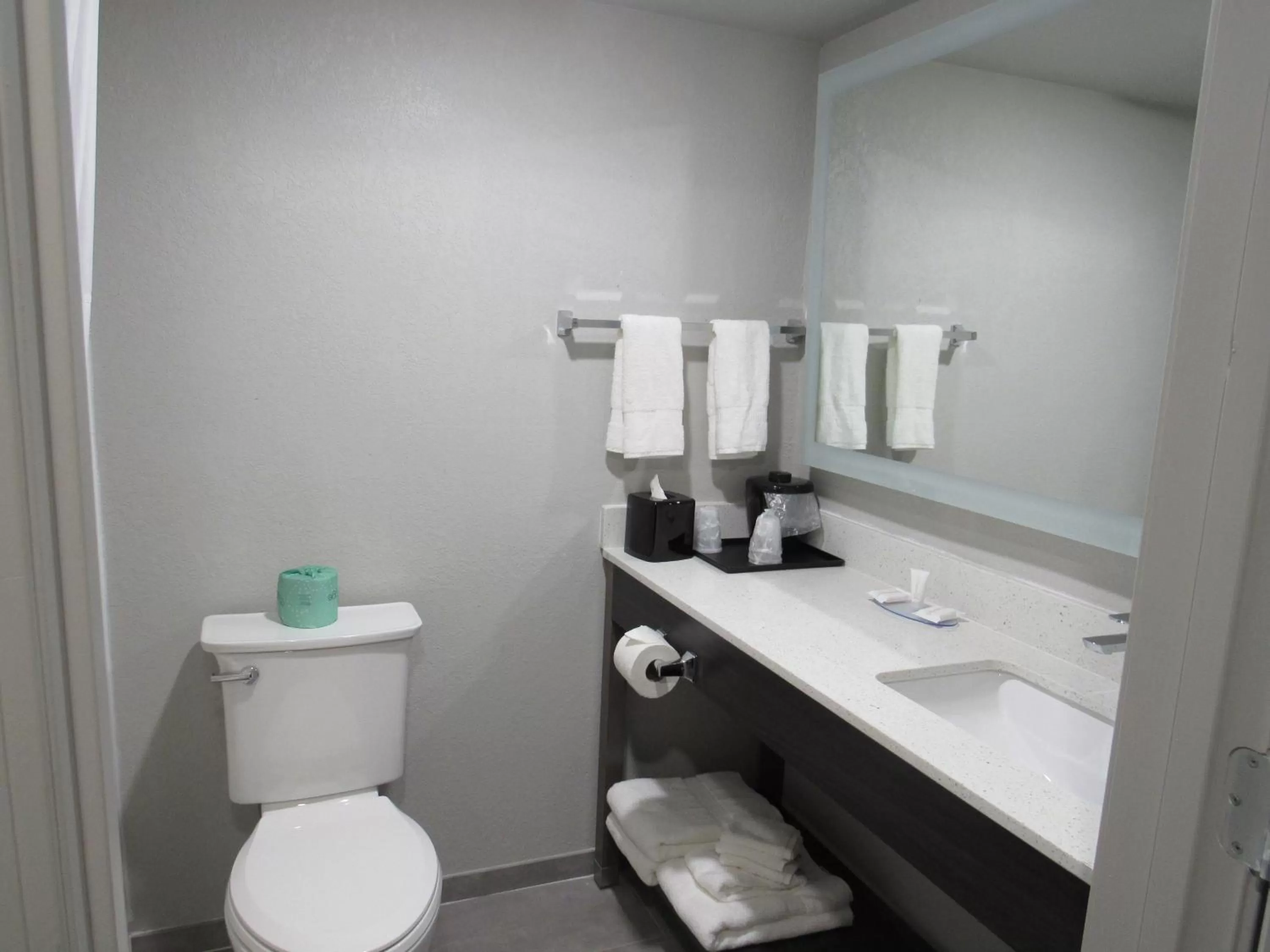 Bathroom in Clarion Pointe McDonough