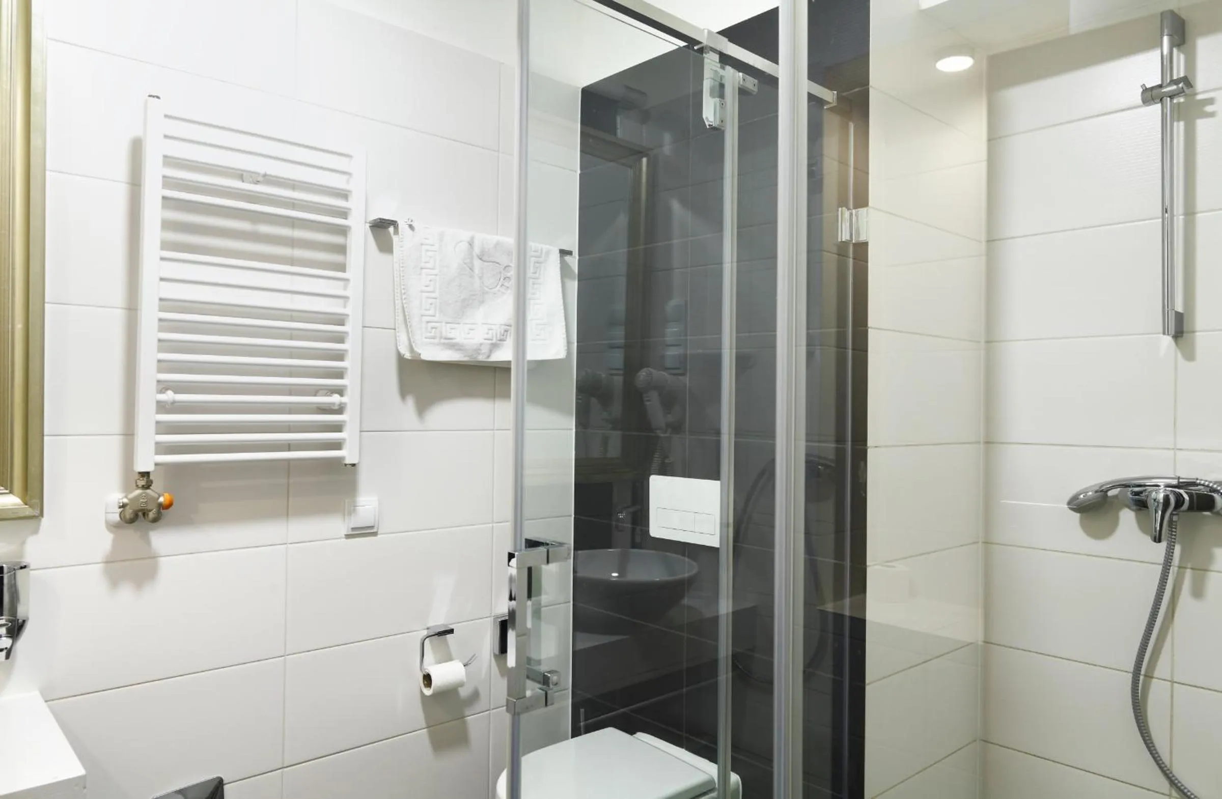 Bathroom in House Octogon