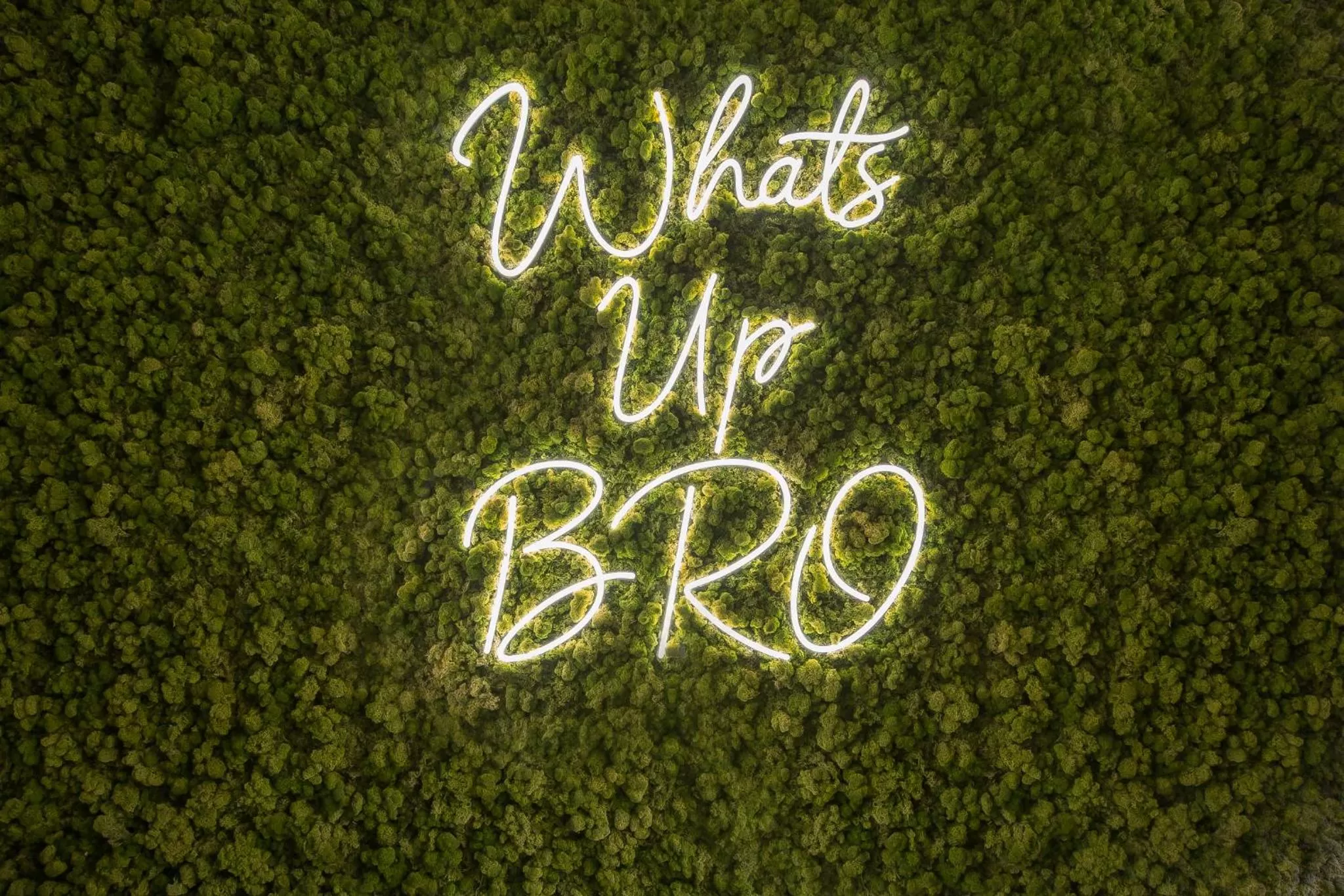 Lobby or reception in Hotel Brö-Adults Recommended