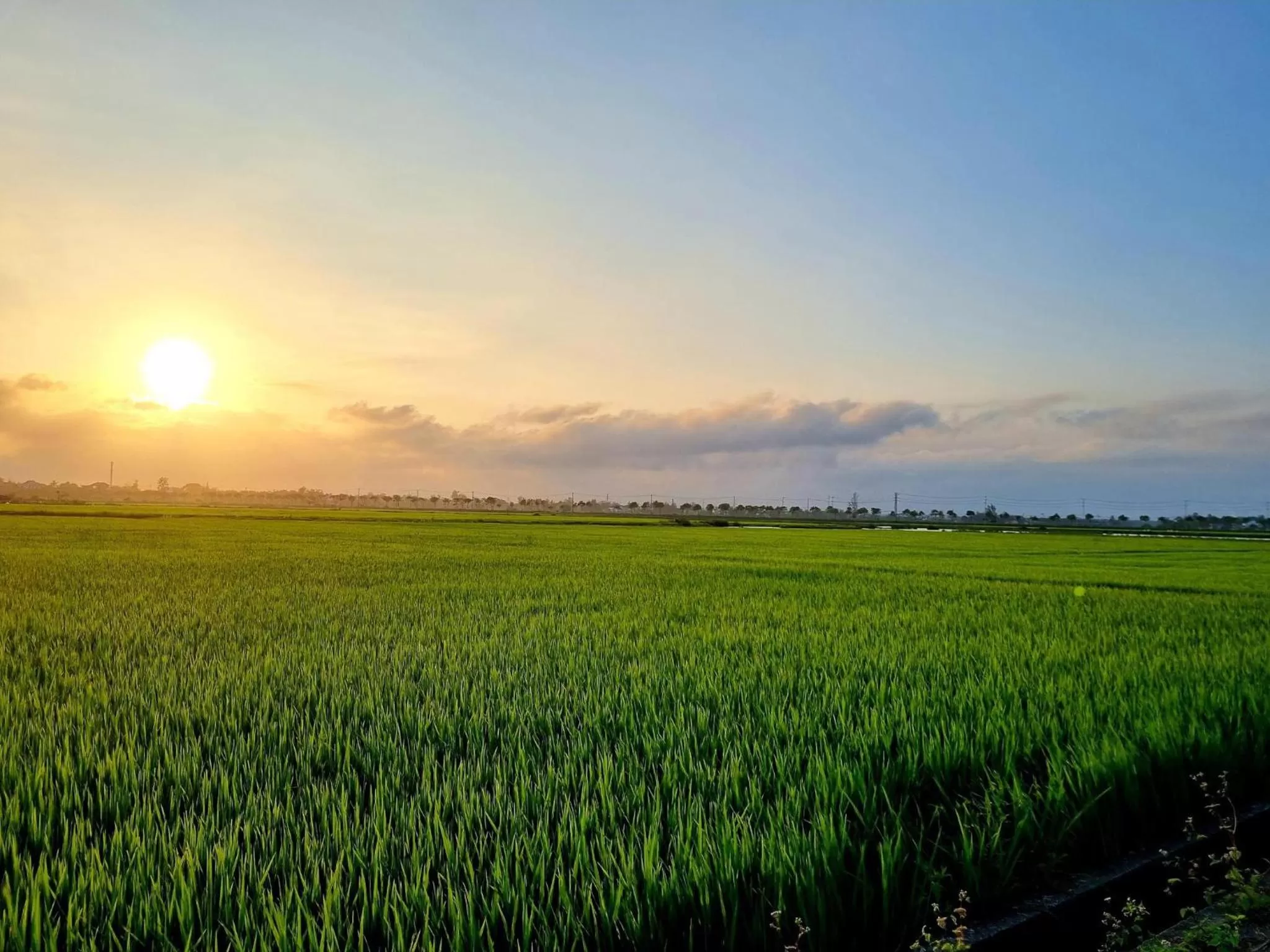 Day in hoi an center town