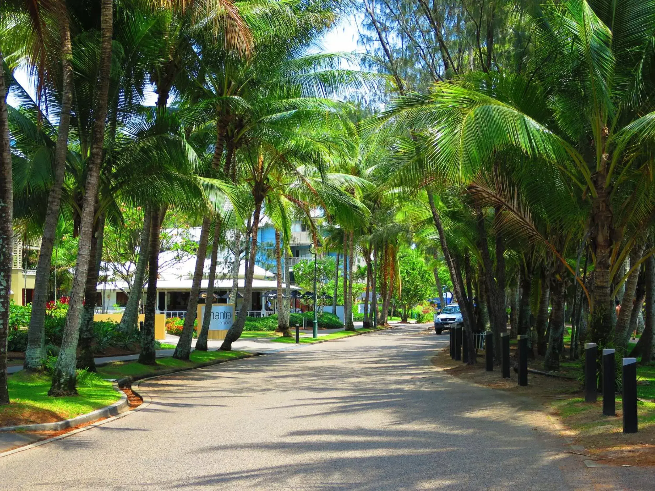 Garden in Marlin Waters Beachfront Apartments