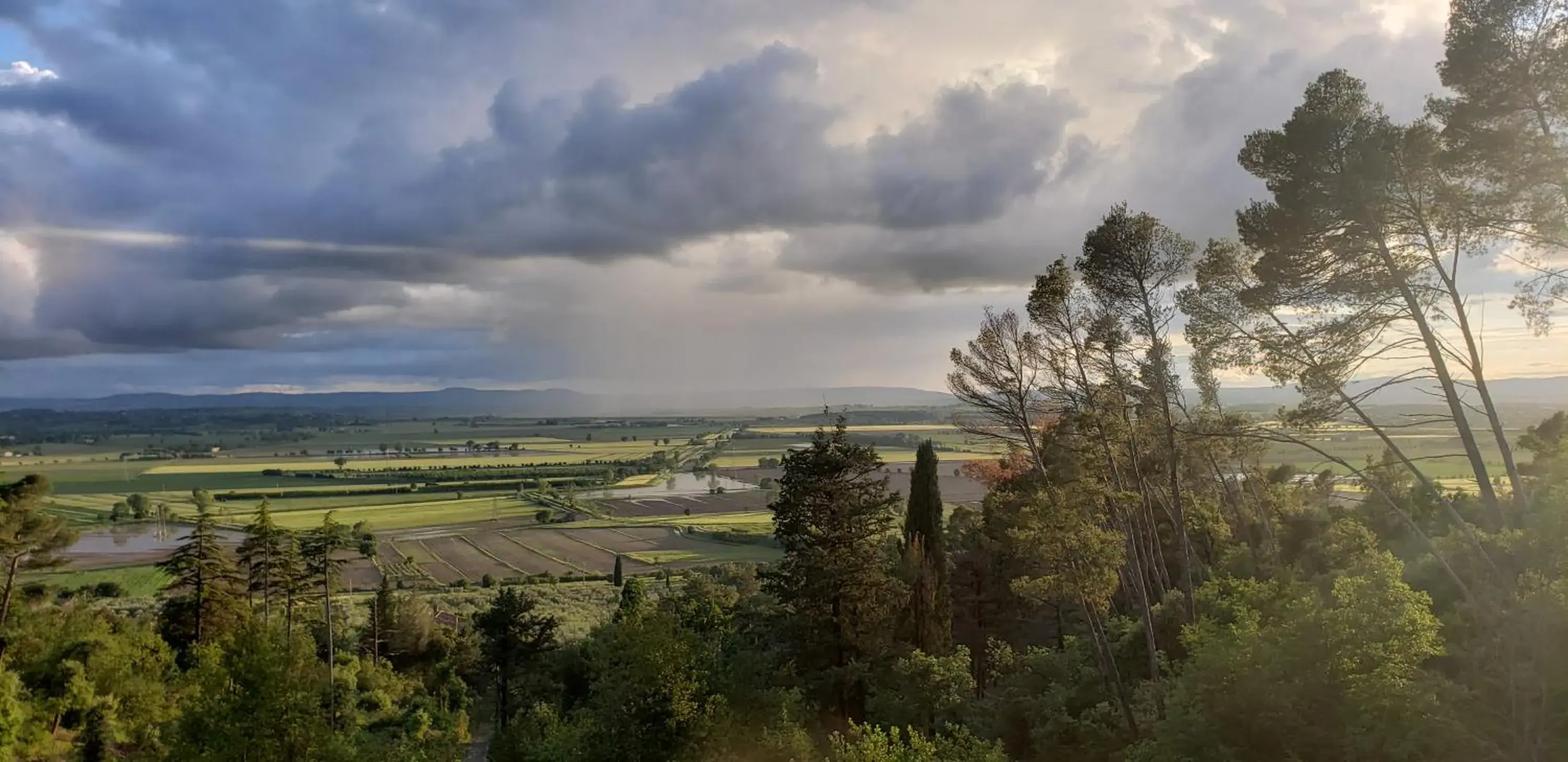 Natural landscape in Villa Schiatti