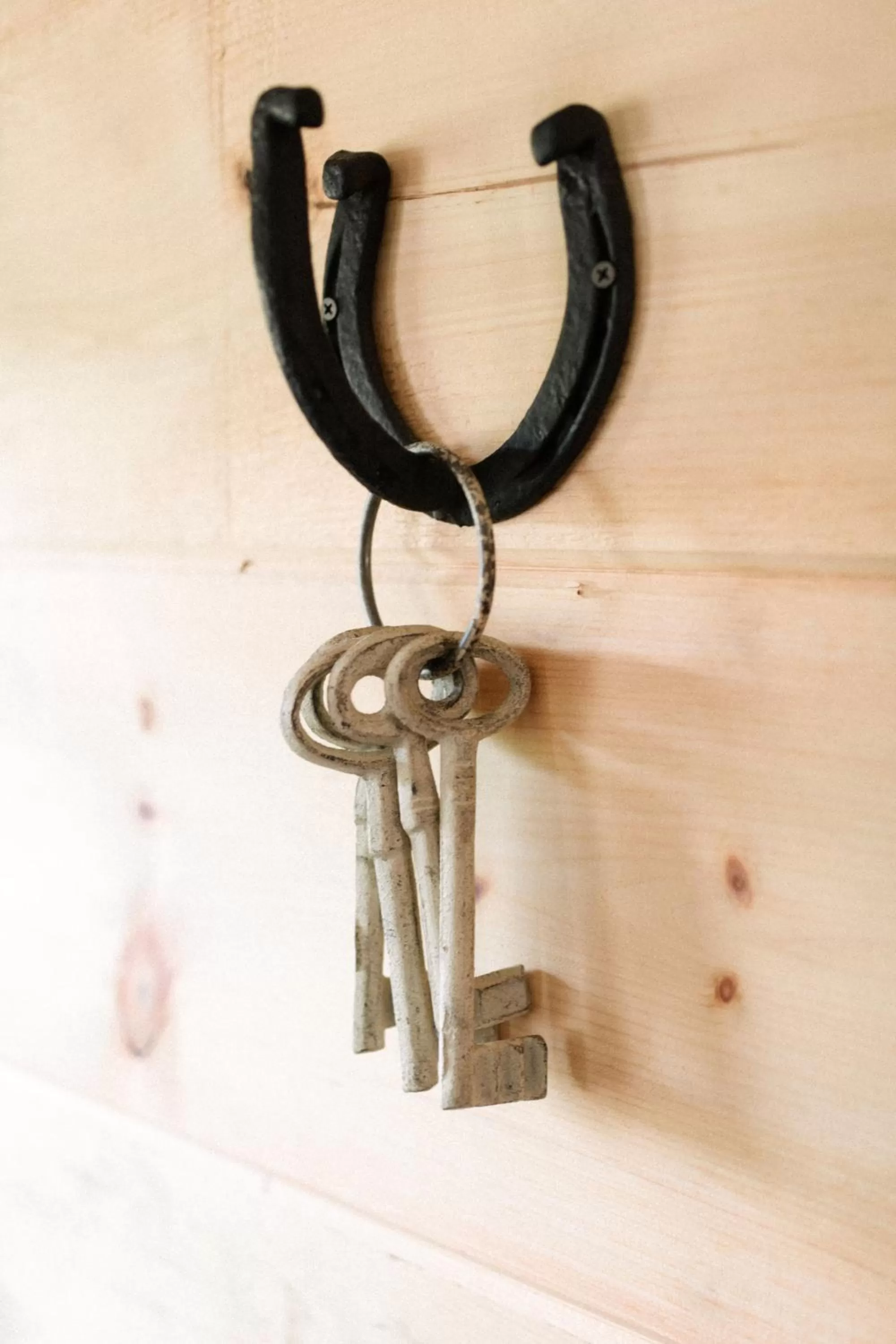 Decorative detail in The Outpost