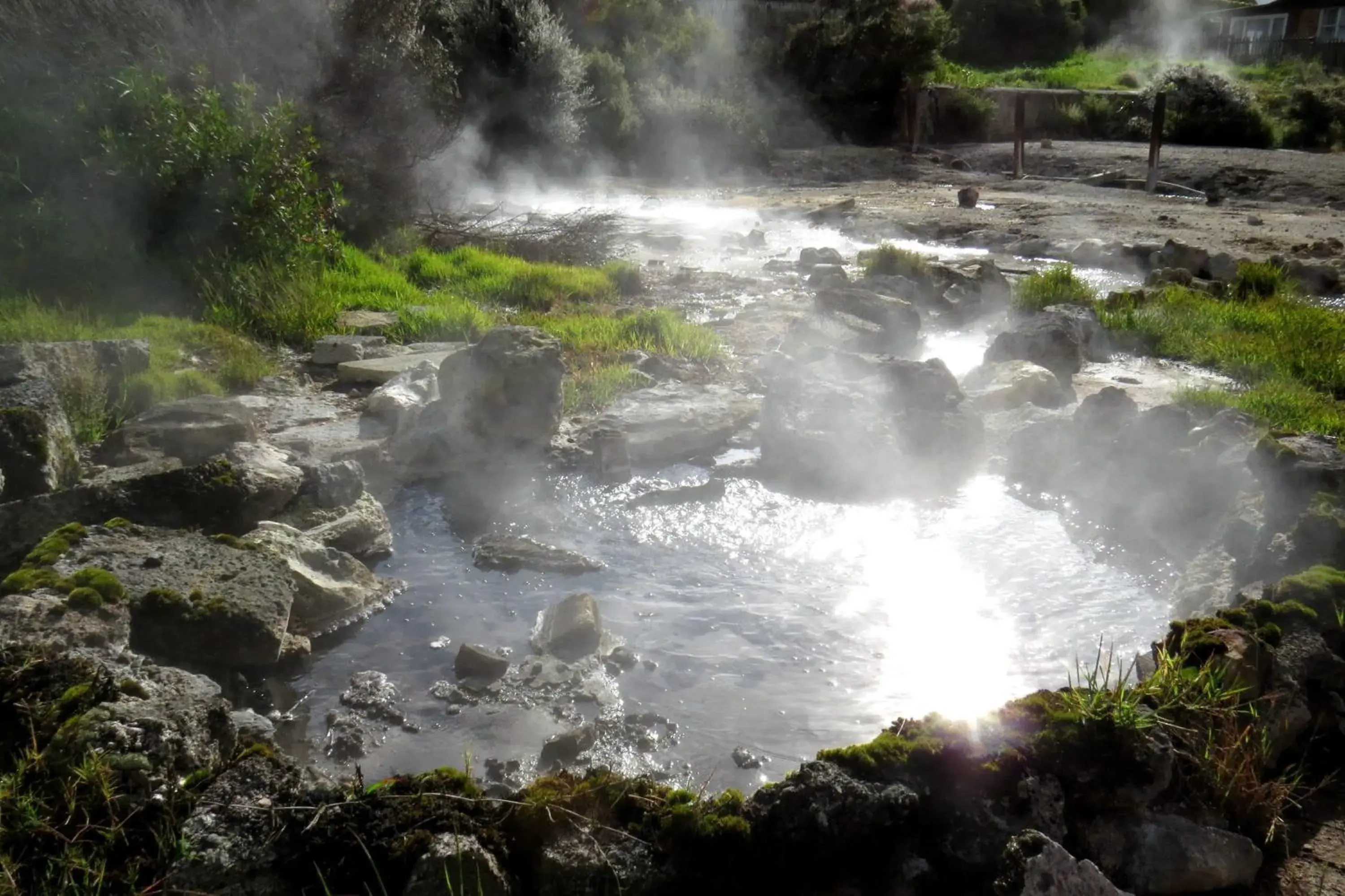 Natural landscape in Kuirau Park Motor Lodge