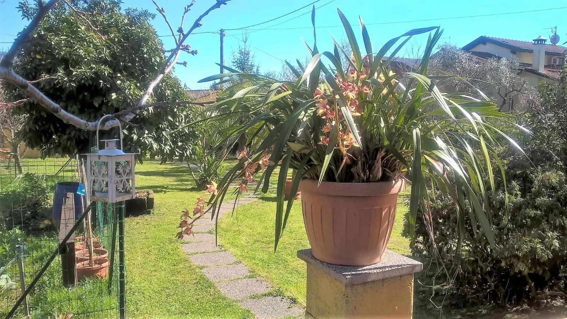 Garden in B&b Villa C'era Una Volta