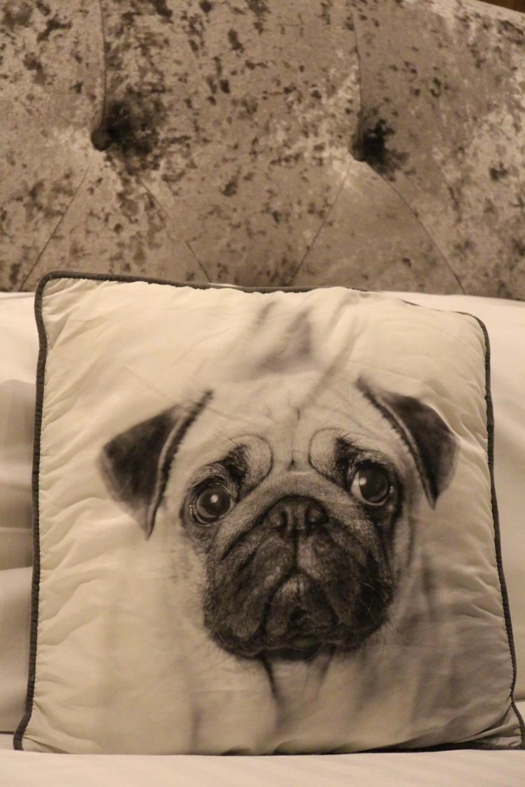 Other in Cheshire Hotel Central London