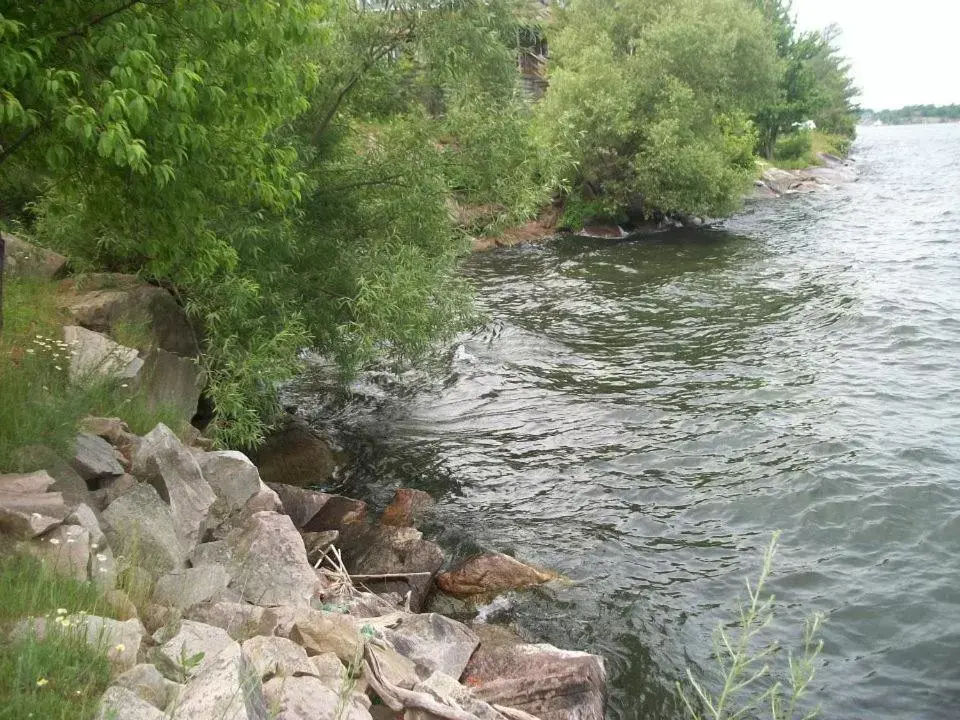 Day, Natural Landscape in Bonnie Castle Resort & Marina