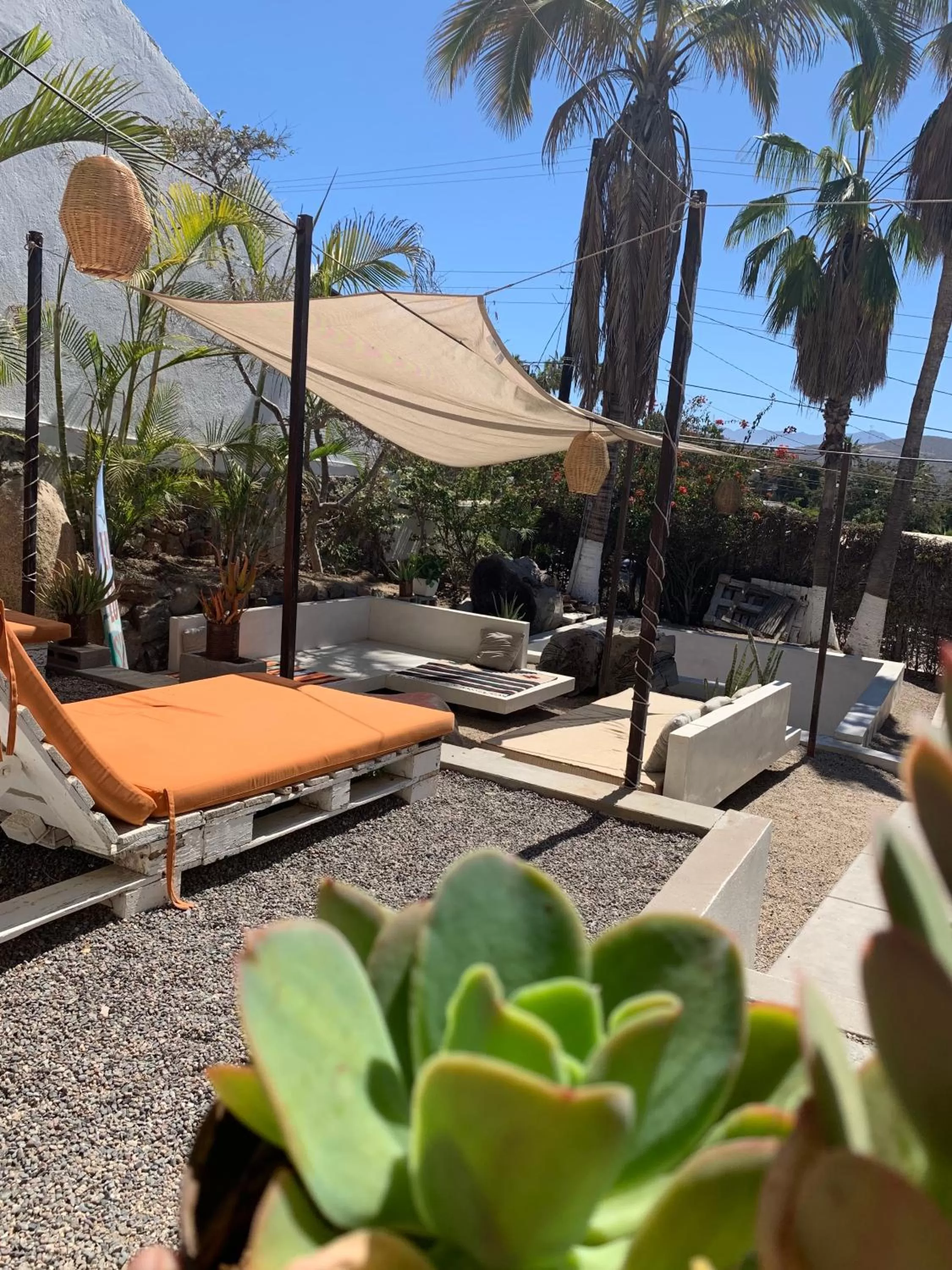 sunbed in Perro Surfero Hotel