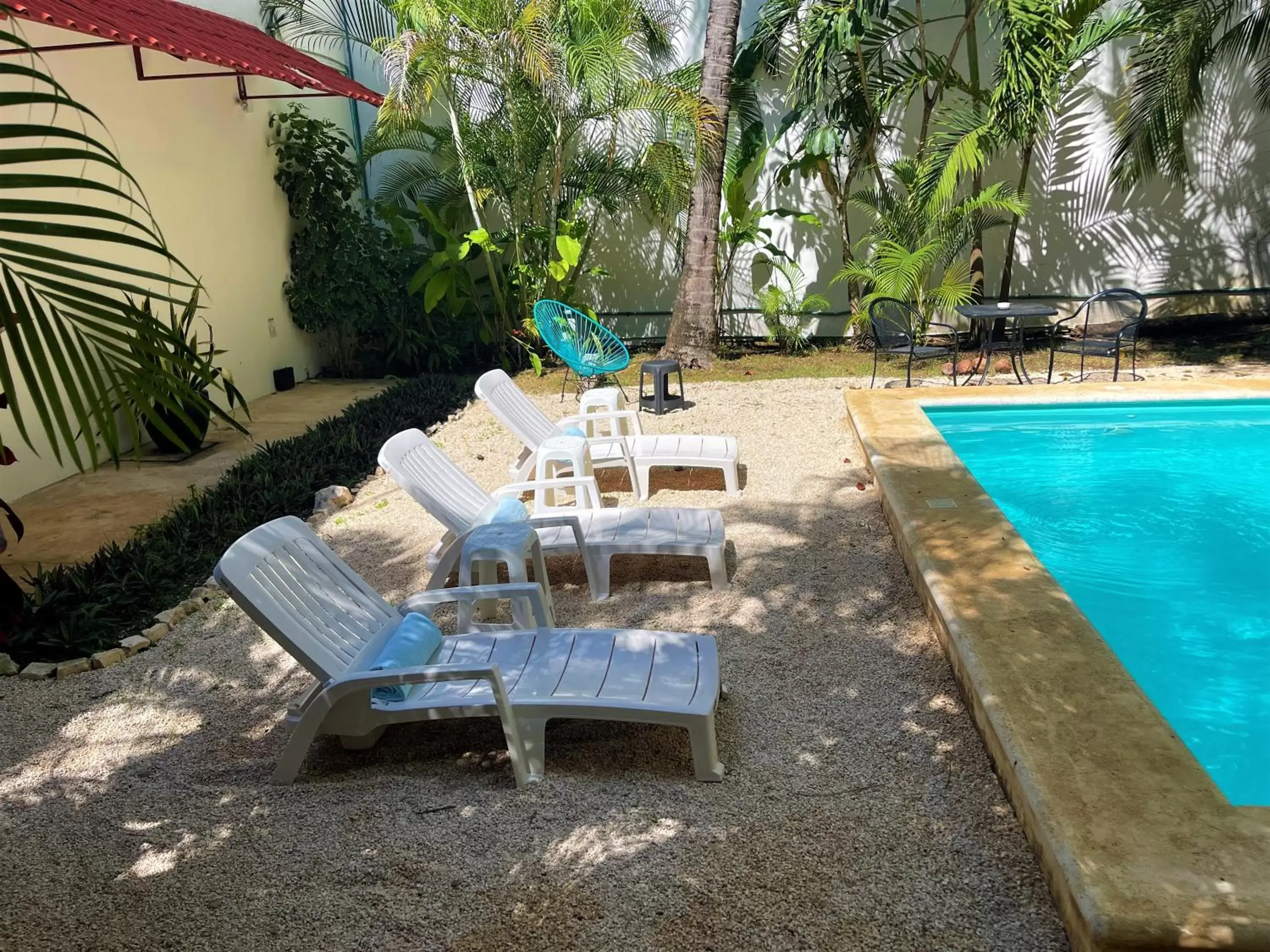 sunbed, Swimming Pool in Hotel Mariachi by Kavia 5th Av
