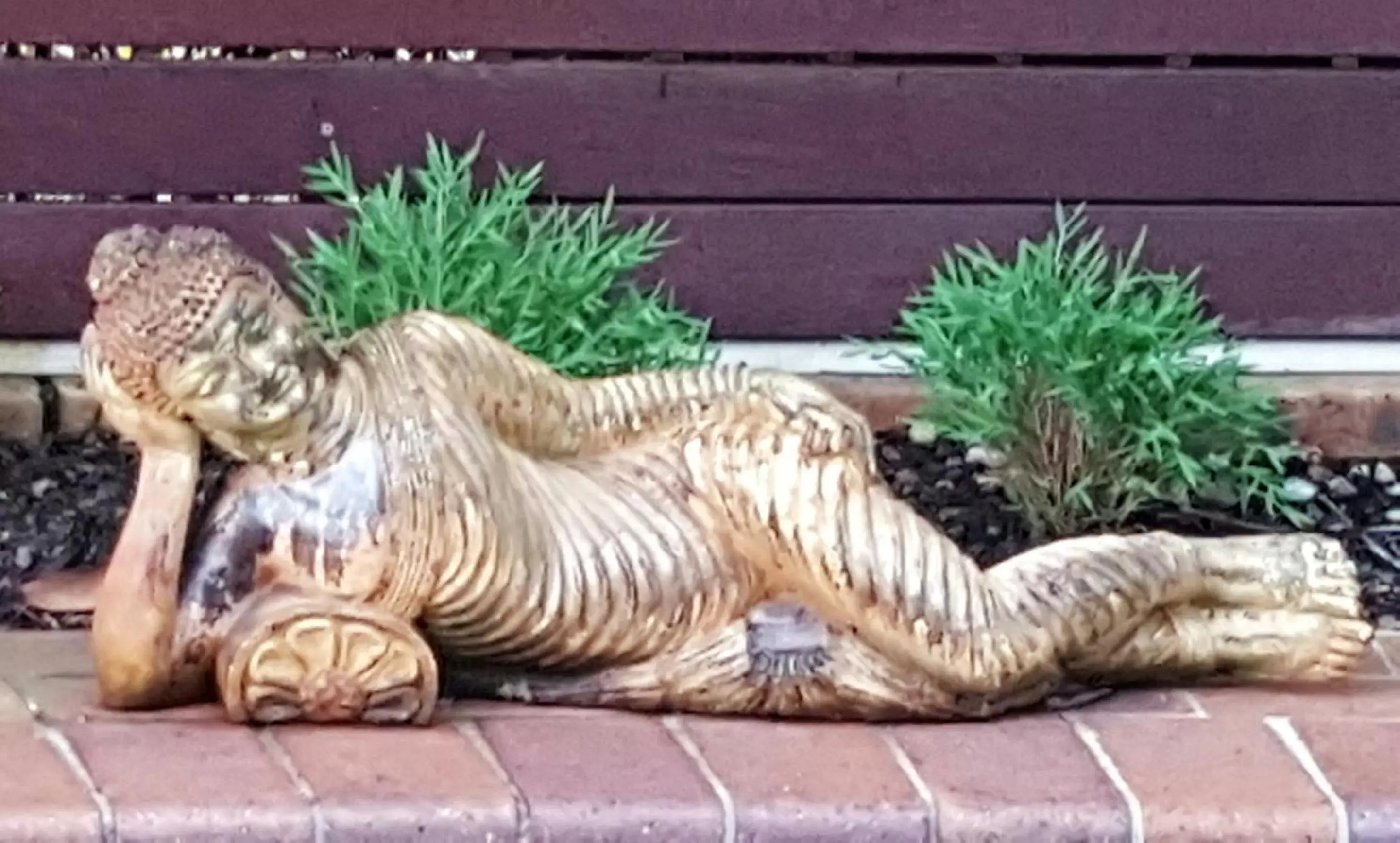 Decorative detail in Ballina Palms Boutique Motel