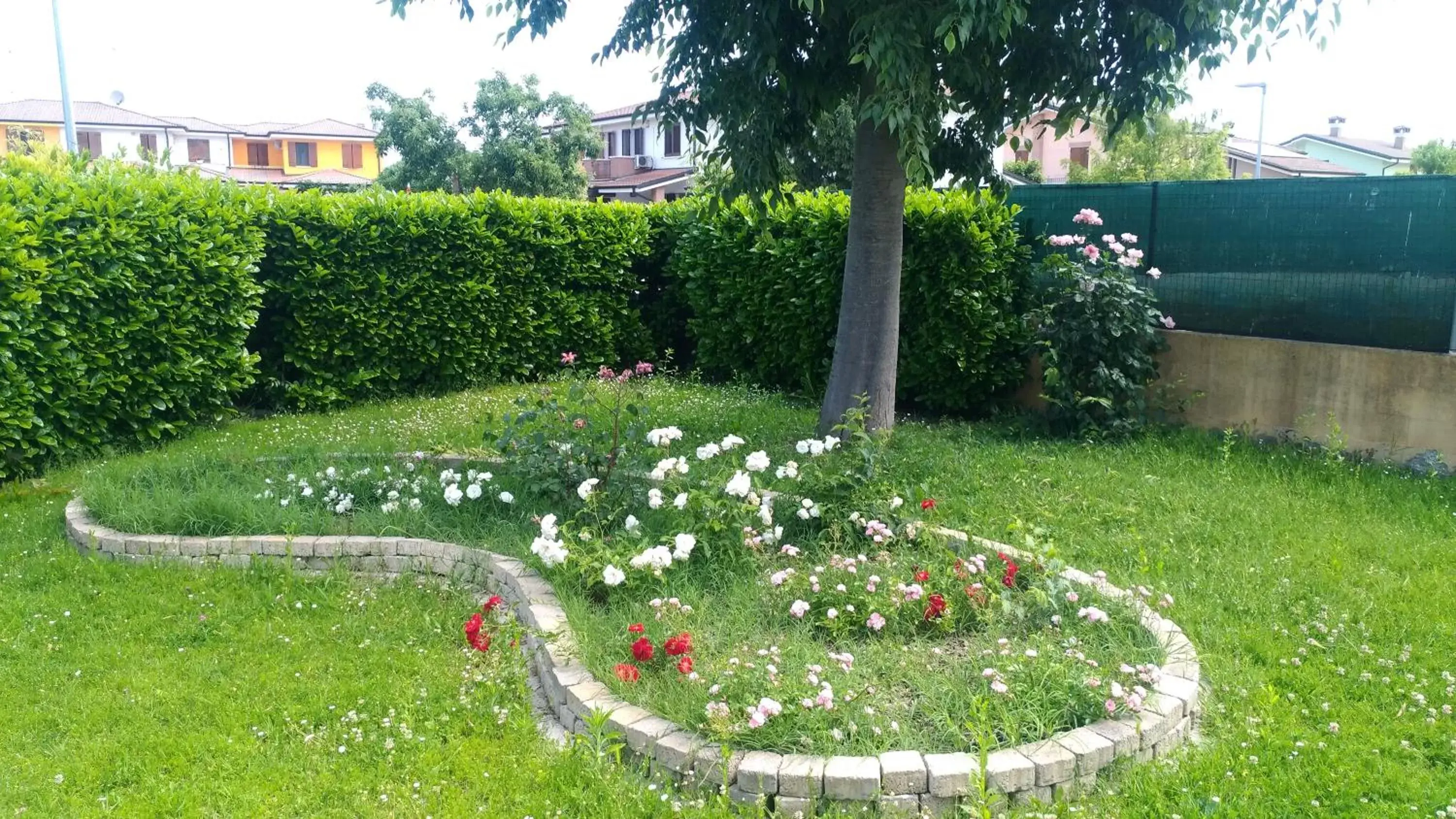 Garden in Ca' Le Rose