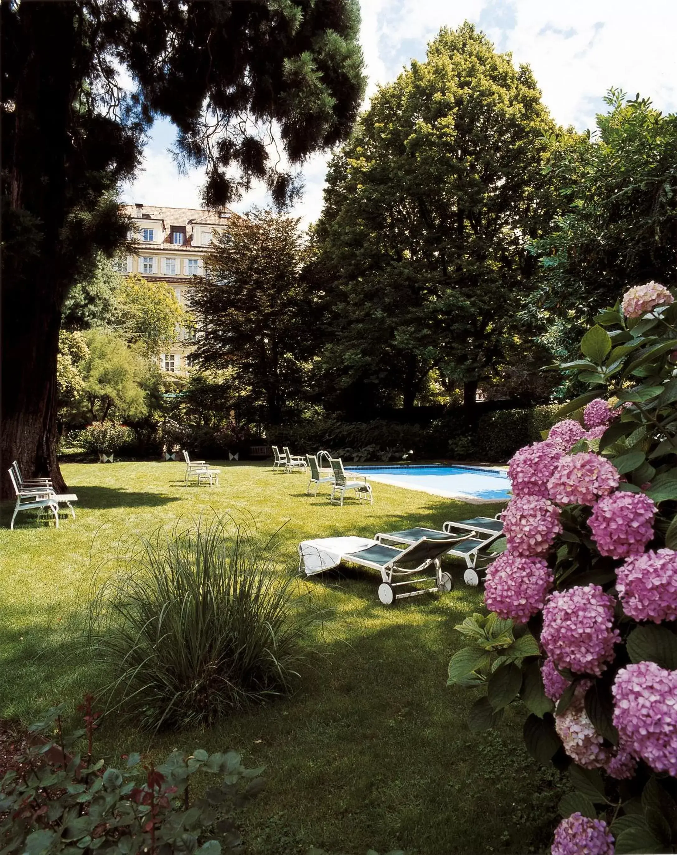 Garden, Swimming Pool in Hotel Greif