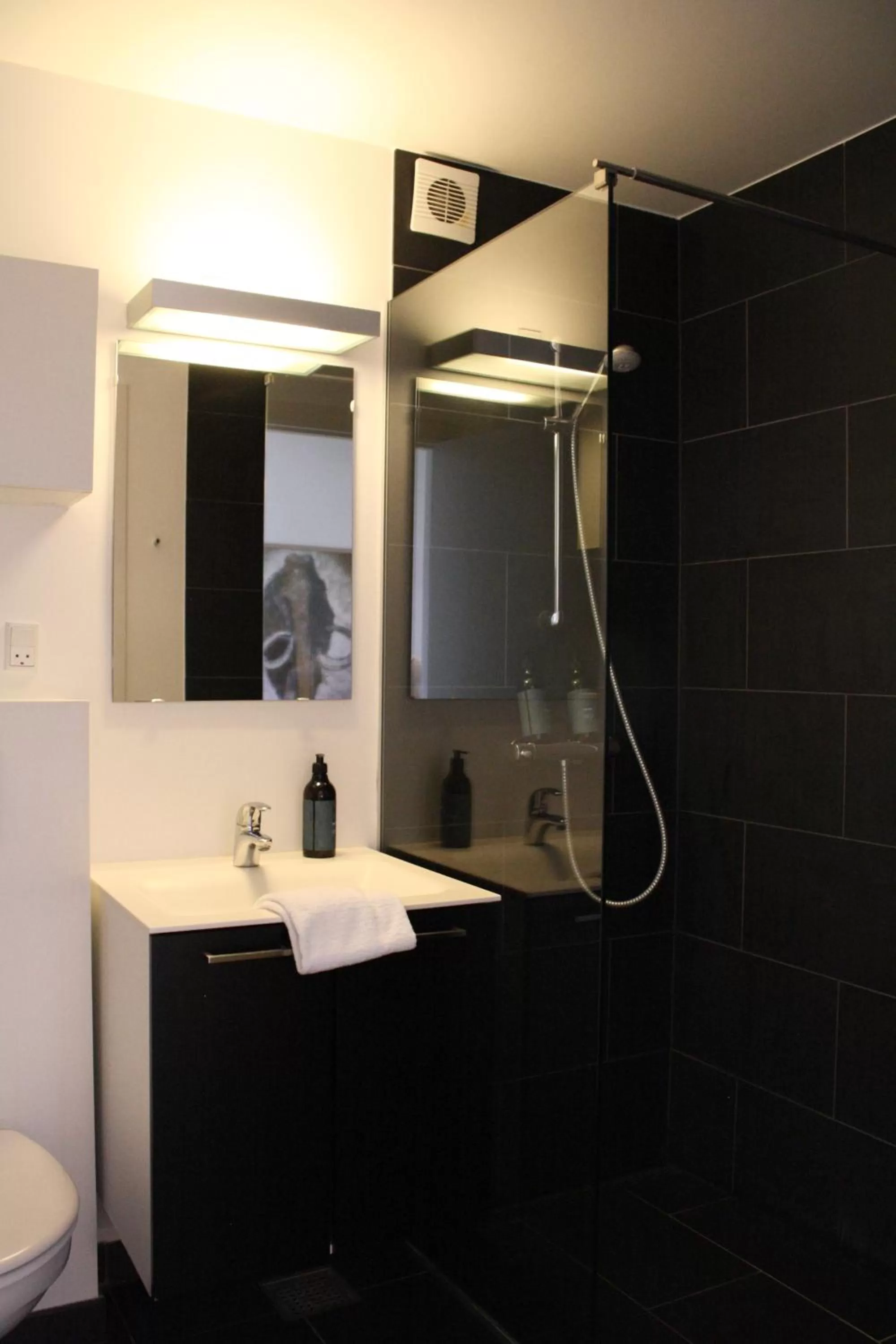 Shower in Langhoff & Juul Boutique Hotel og Restaurant