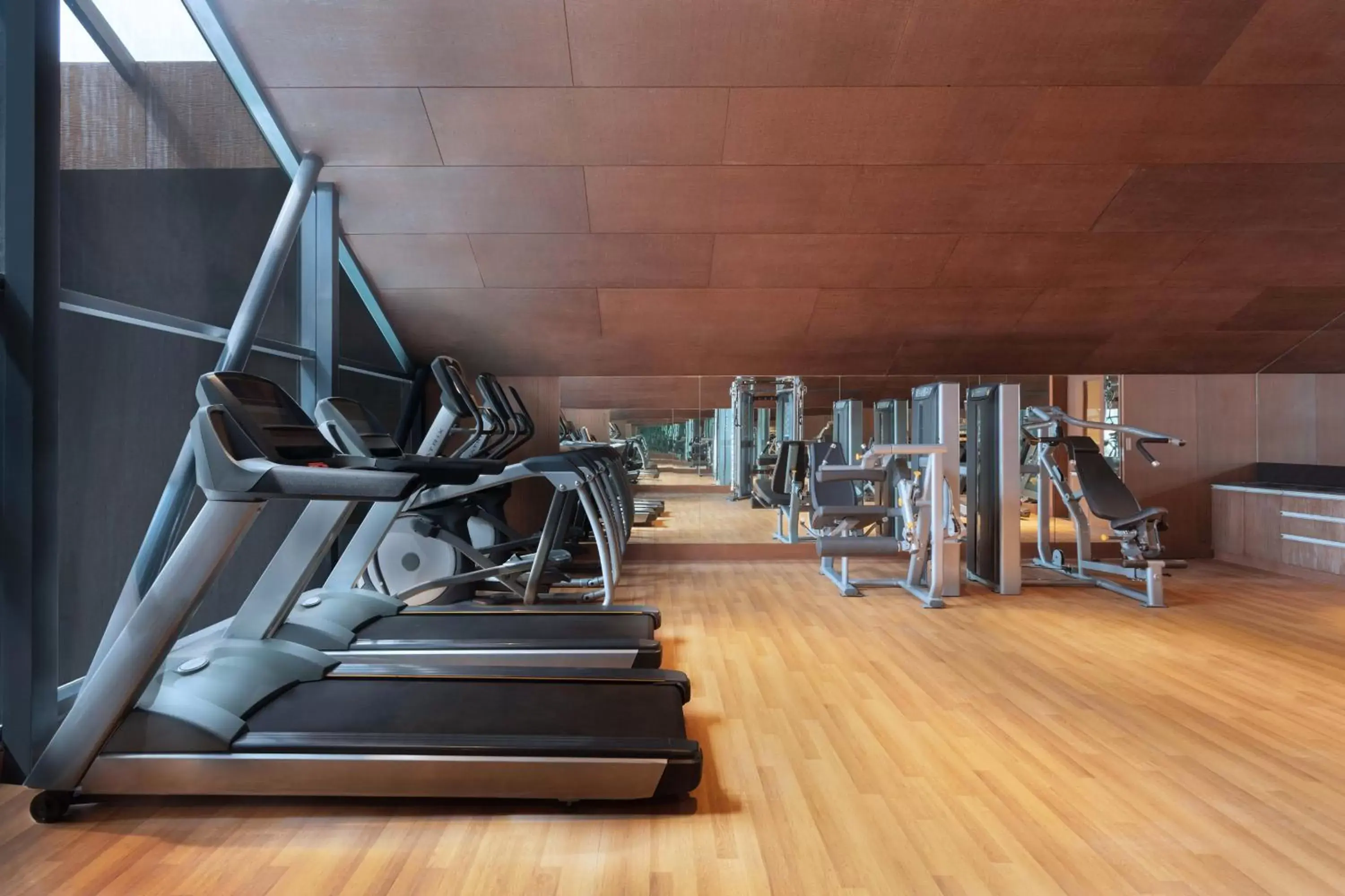 Fitness centre/facilities, Fitness Center/Facilities in Aloft Kathmandu Thamel