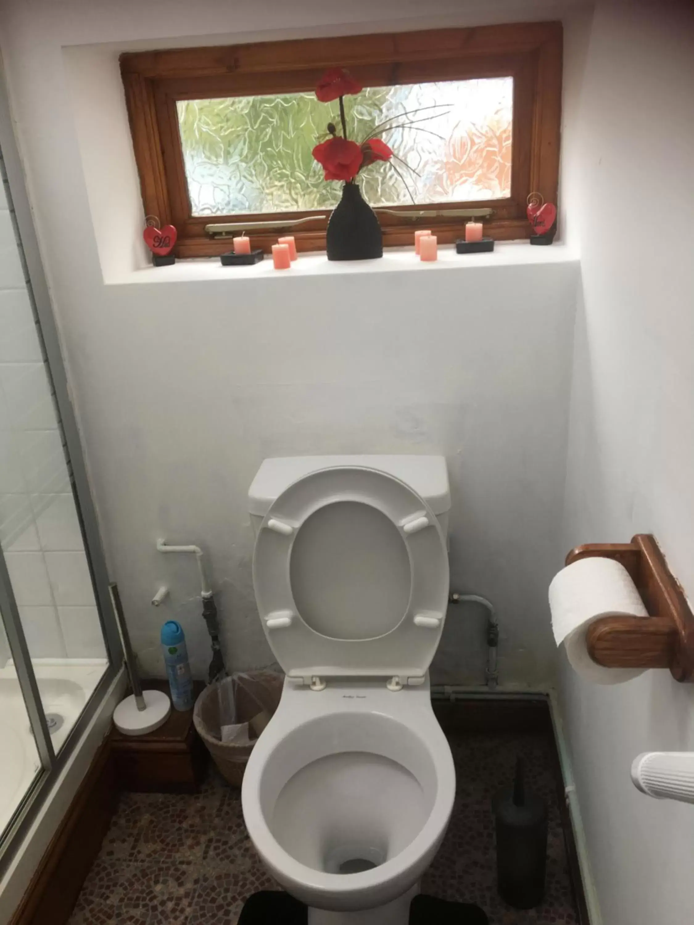 Bathroom in Heddfan