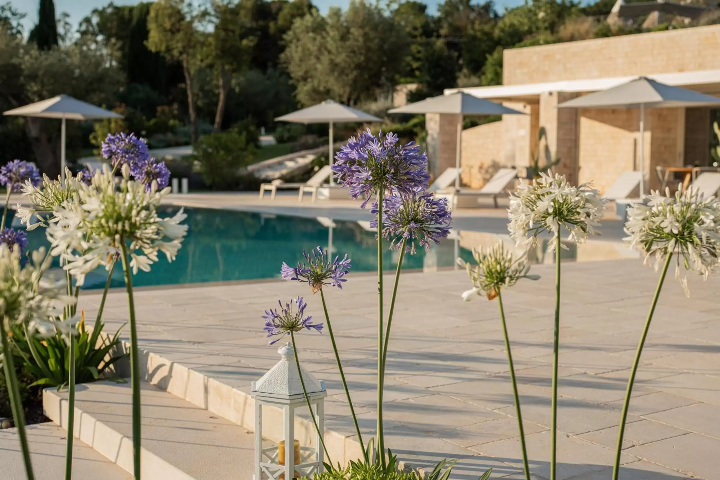 Pool view, Swimming Pool in Essenza Relais Contemporaneo