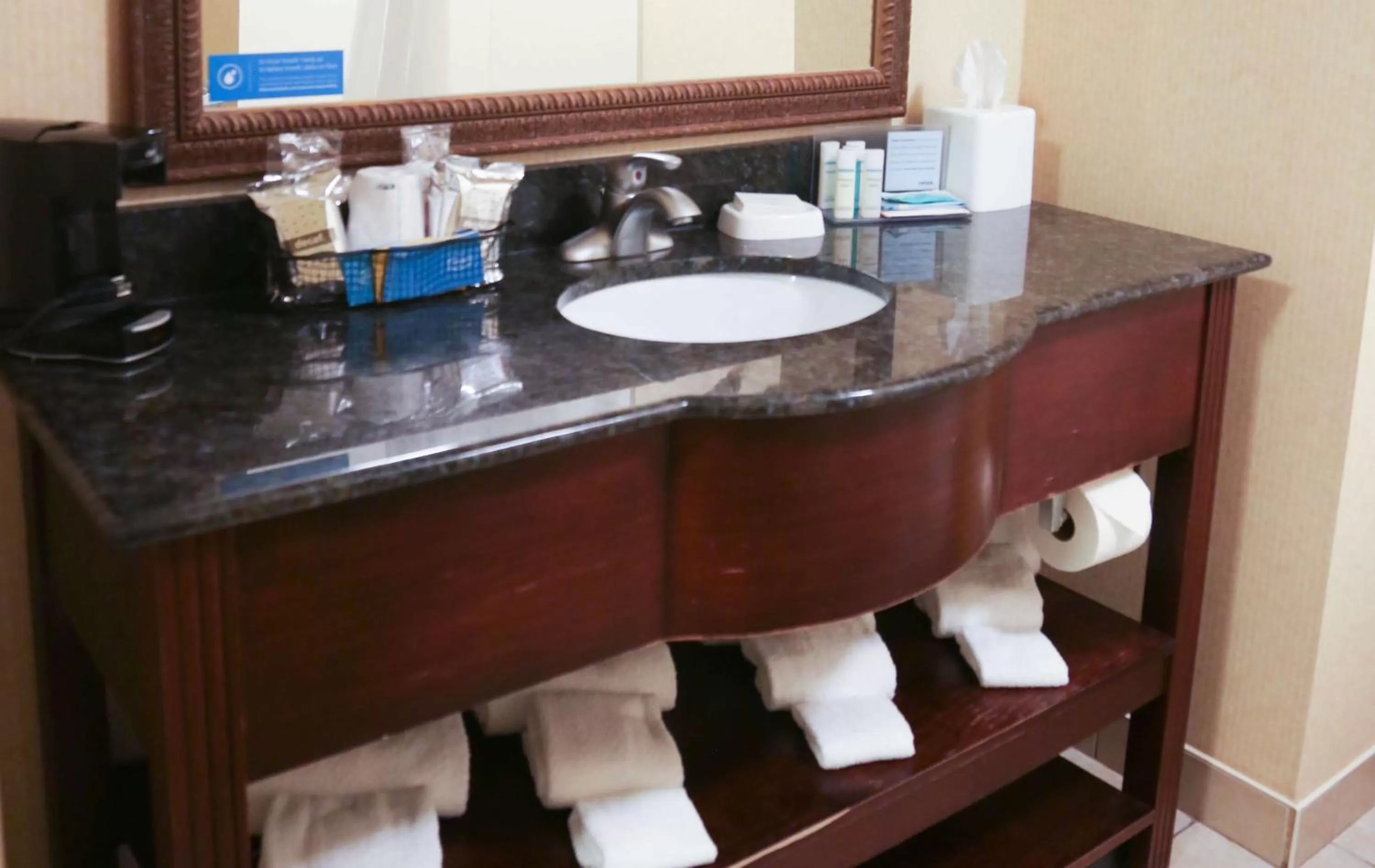 Bathroom in Hampton Inn Morehead