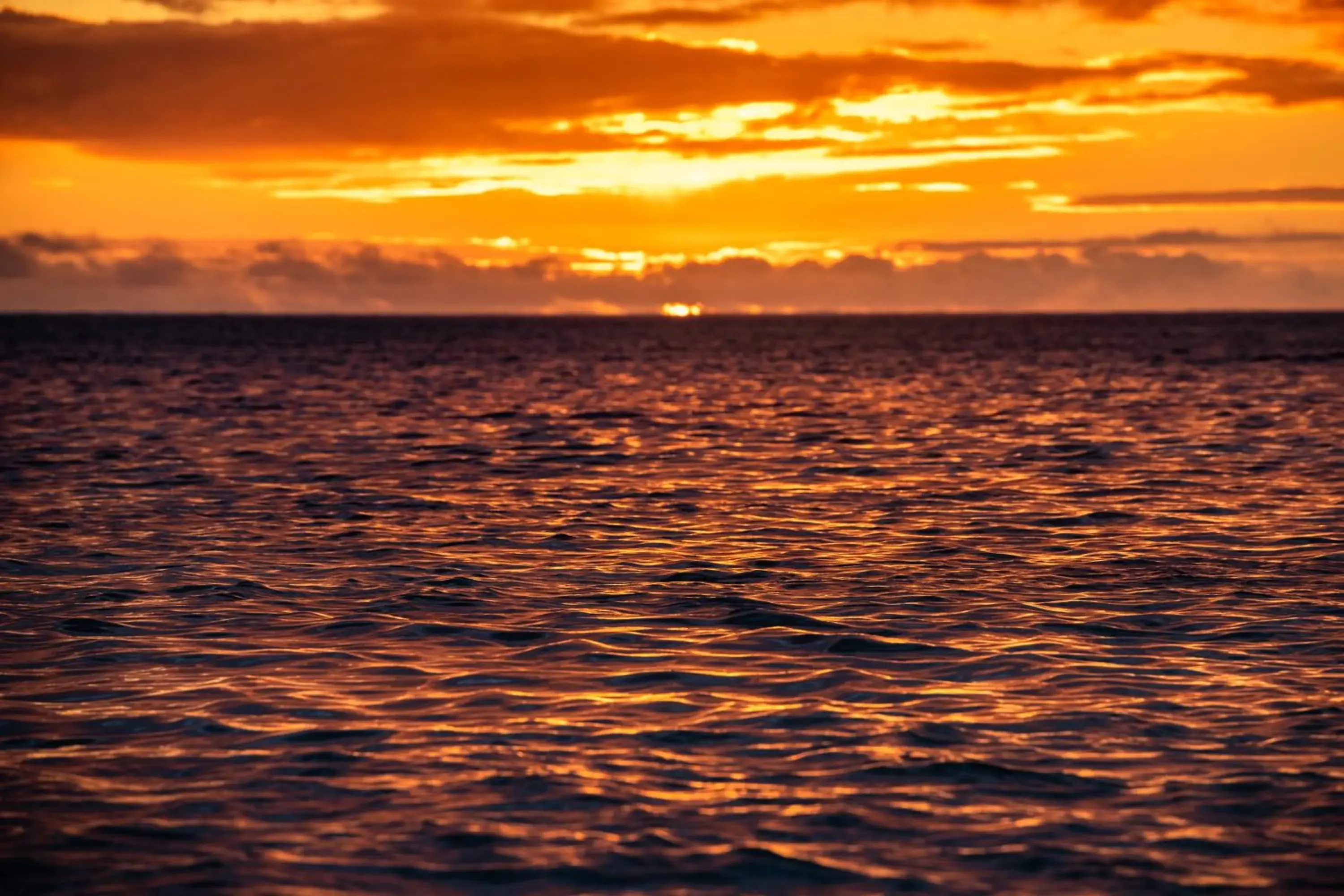 Sunset, Sunrise/Sunset in Hakuna Majiwe Beach Lodge Zanzibar