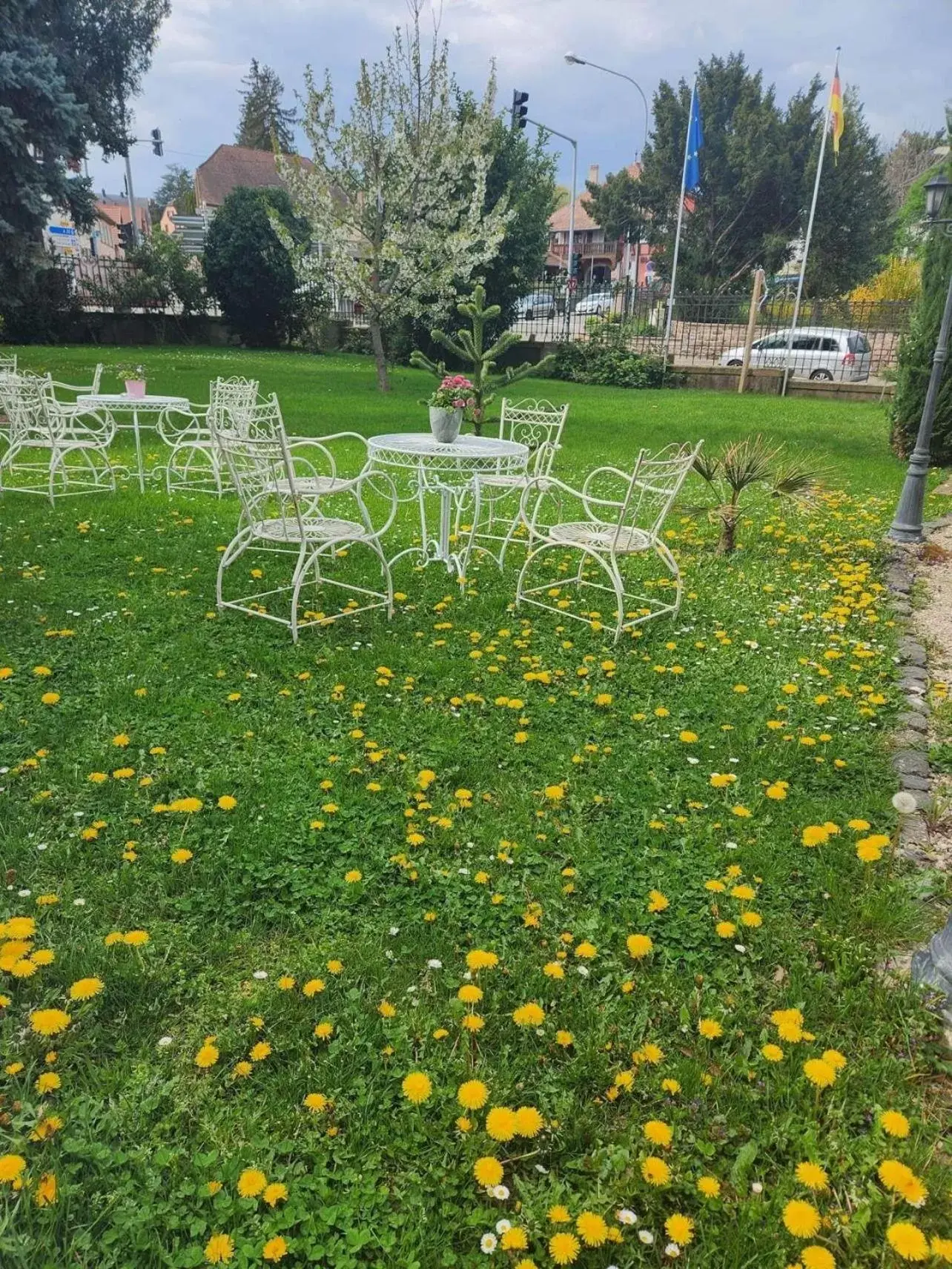 Garden in Hôtel Le Manoir