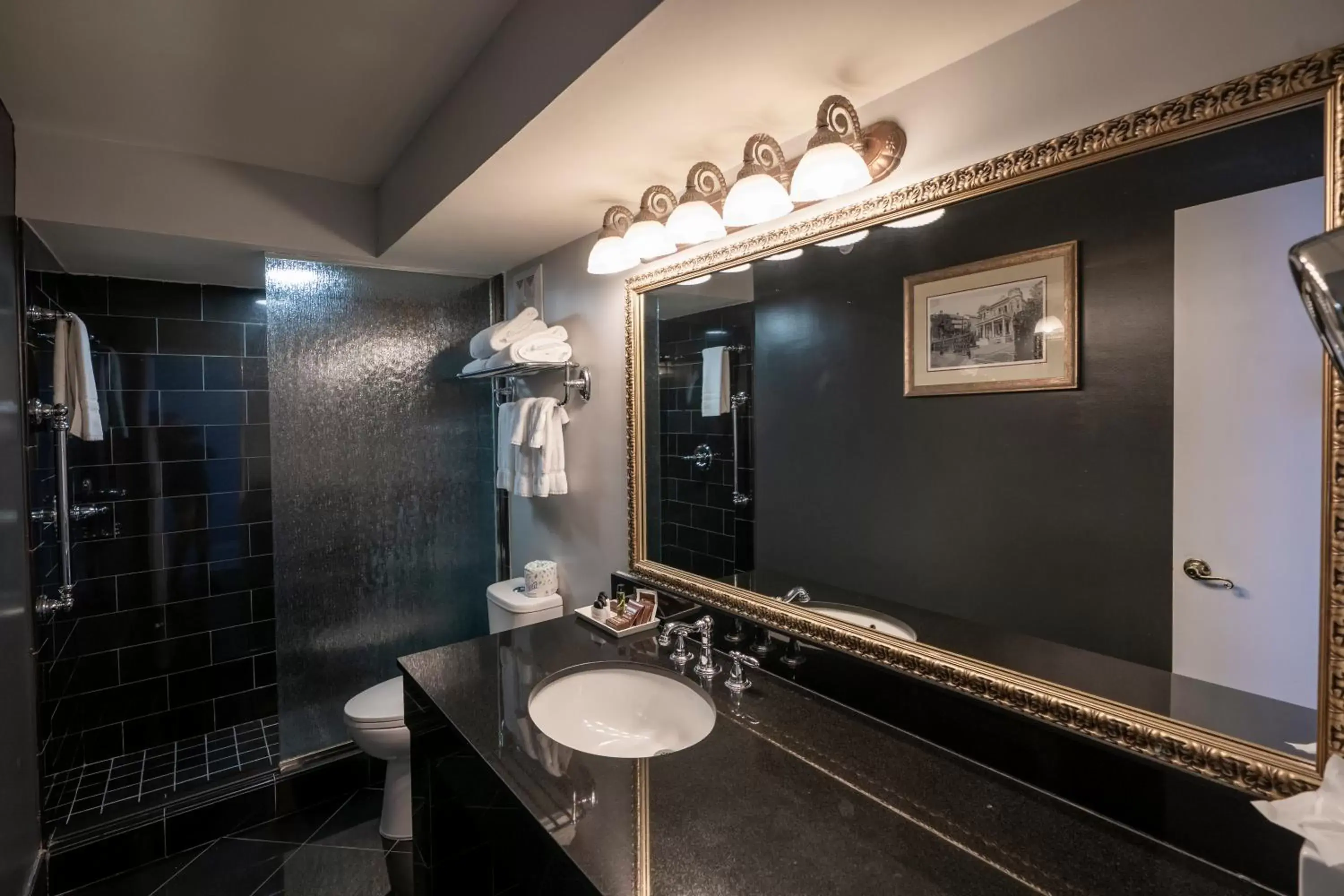 Shower, Bathroom in Bourbon Orleans Hotel