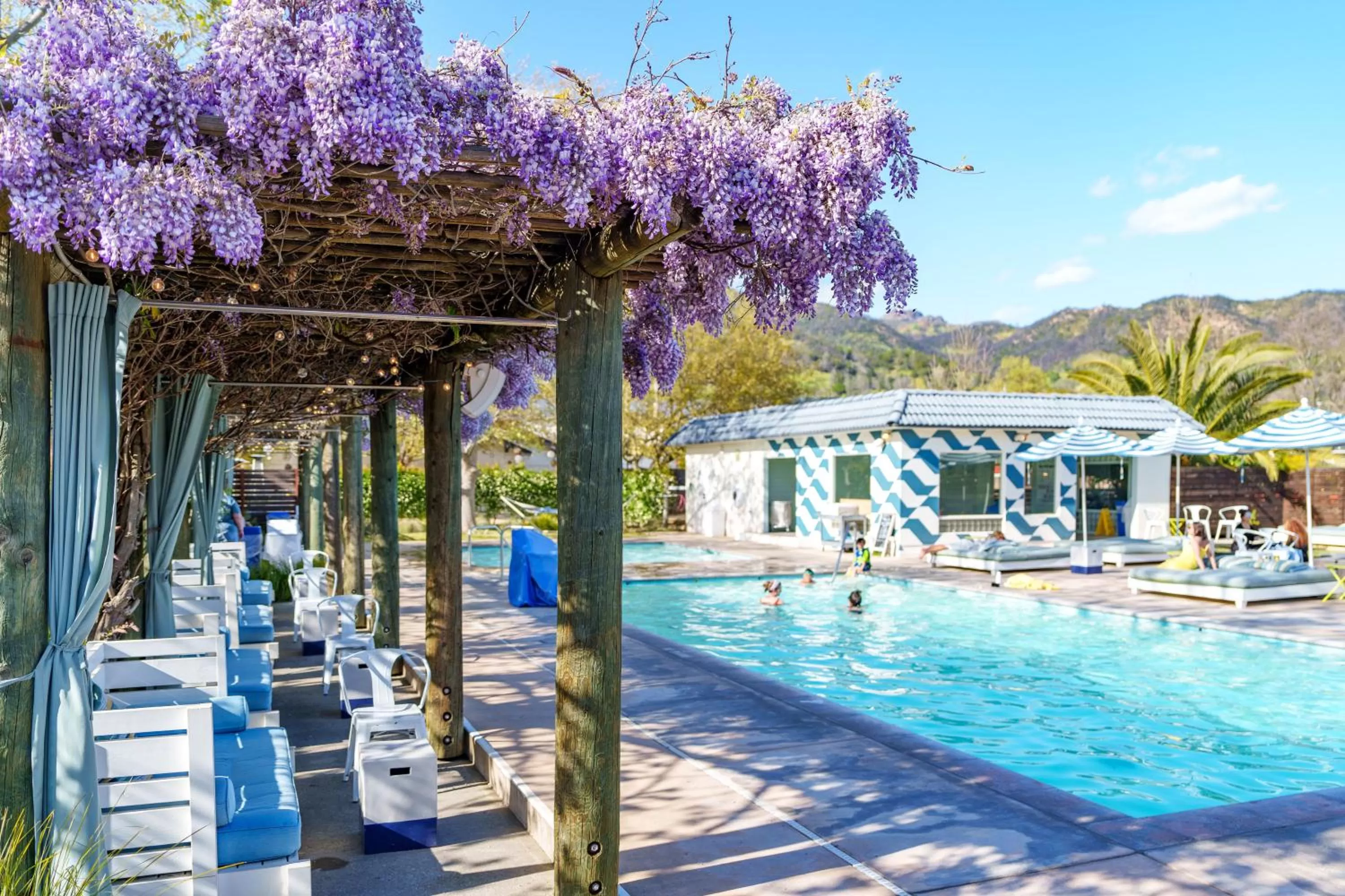 Spring in Calistoga Motor Lodge and Spa