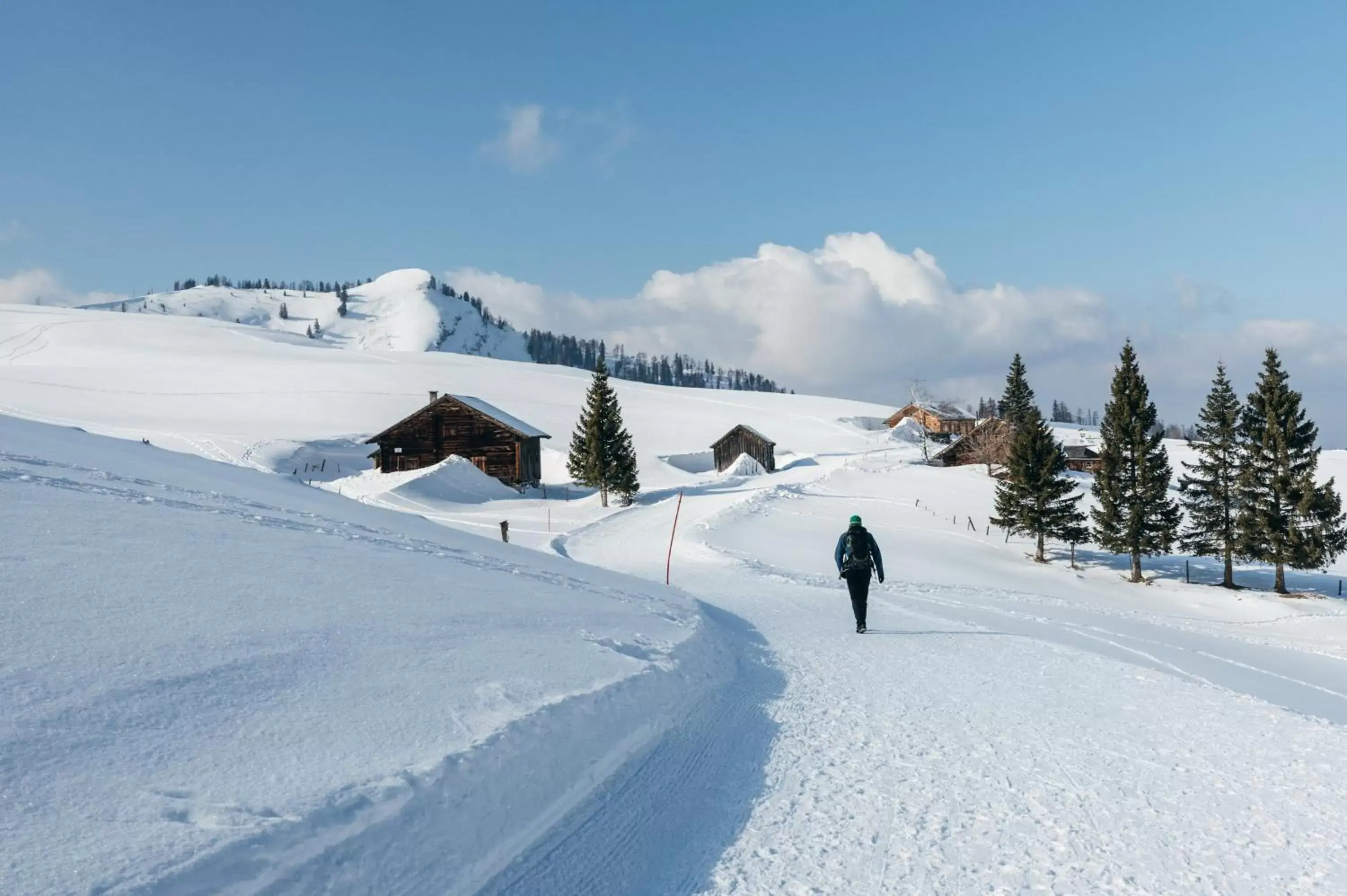 Staff, Winter in Hotel Goldener Ochs