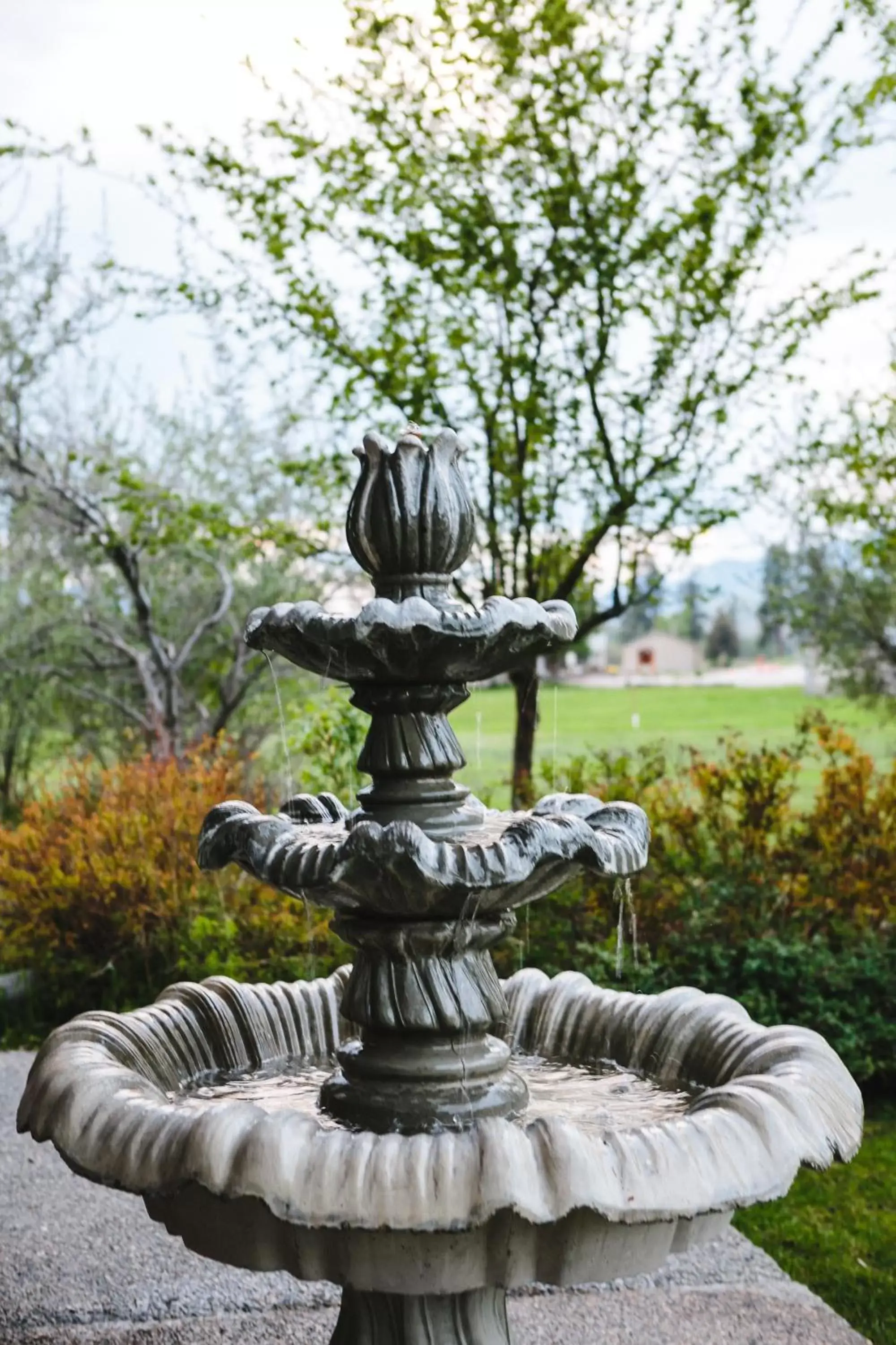 Decorative detail in Mt Gardner Inn