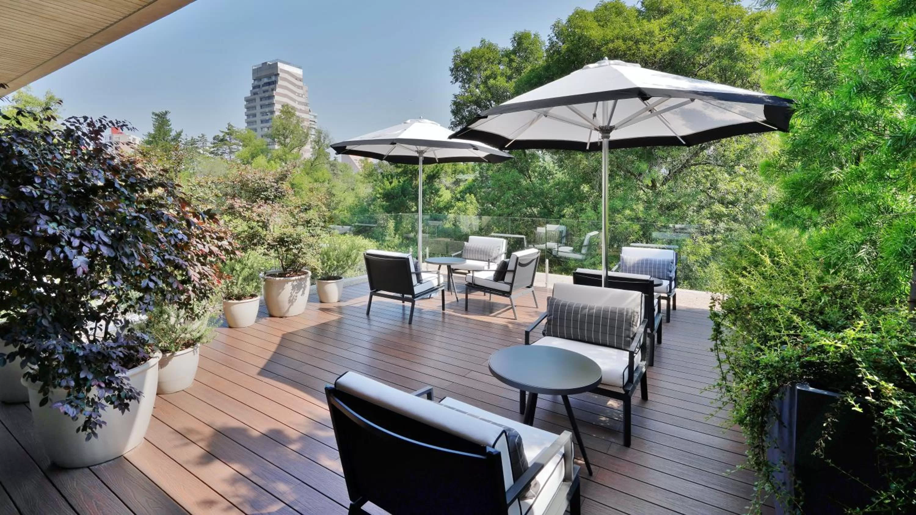 Balcony/Terrace in Casa Polanco Hotel Boutique