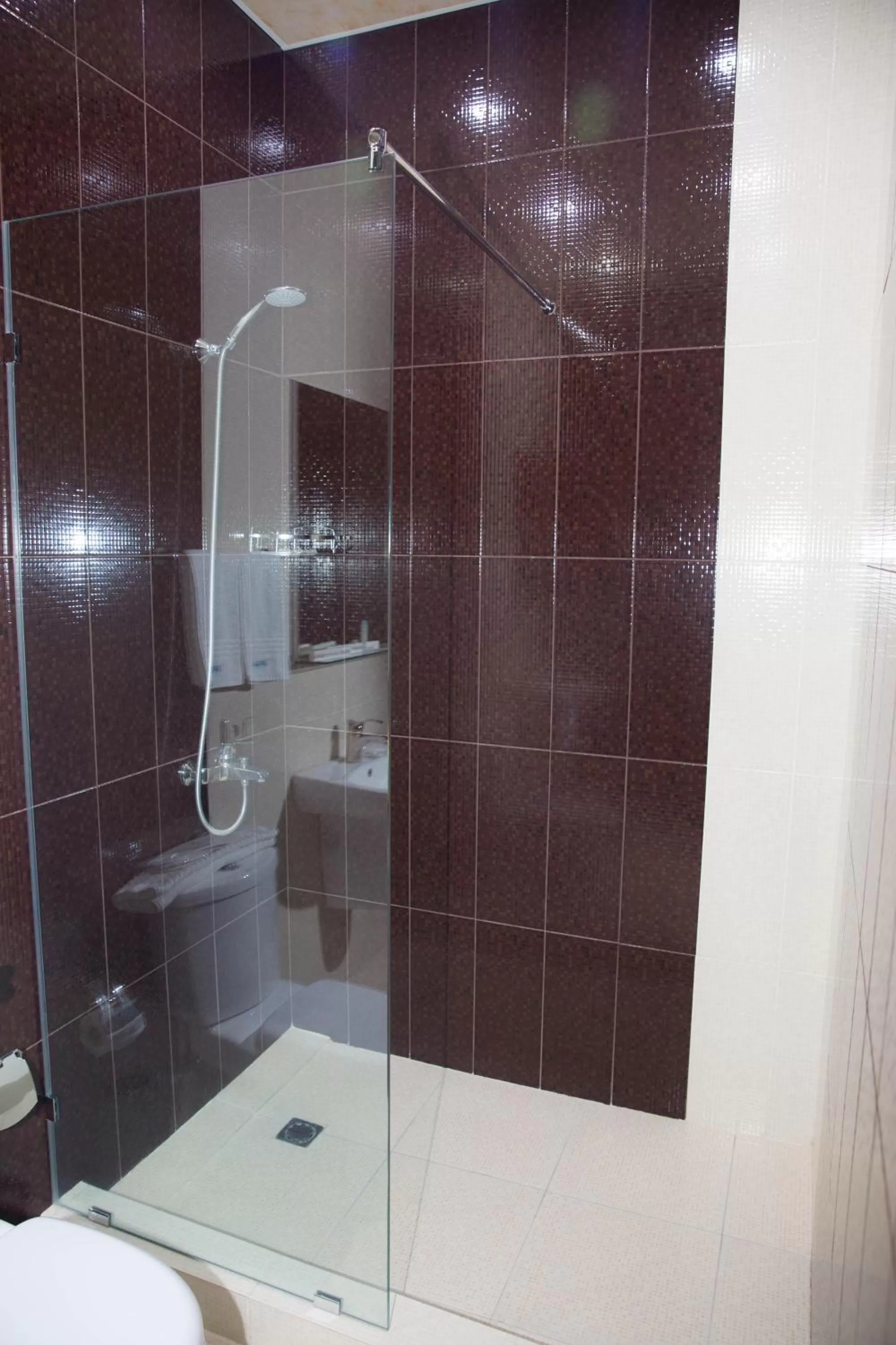 Bathroom in Eridana Hotel