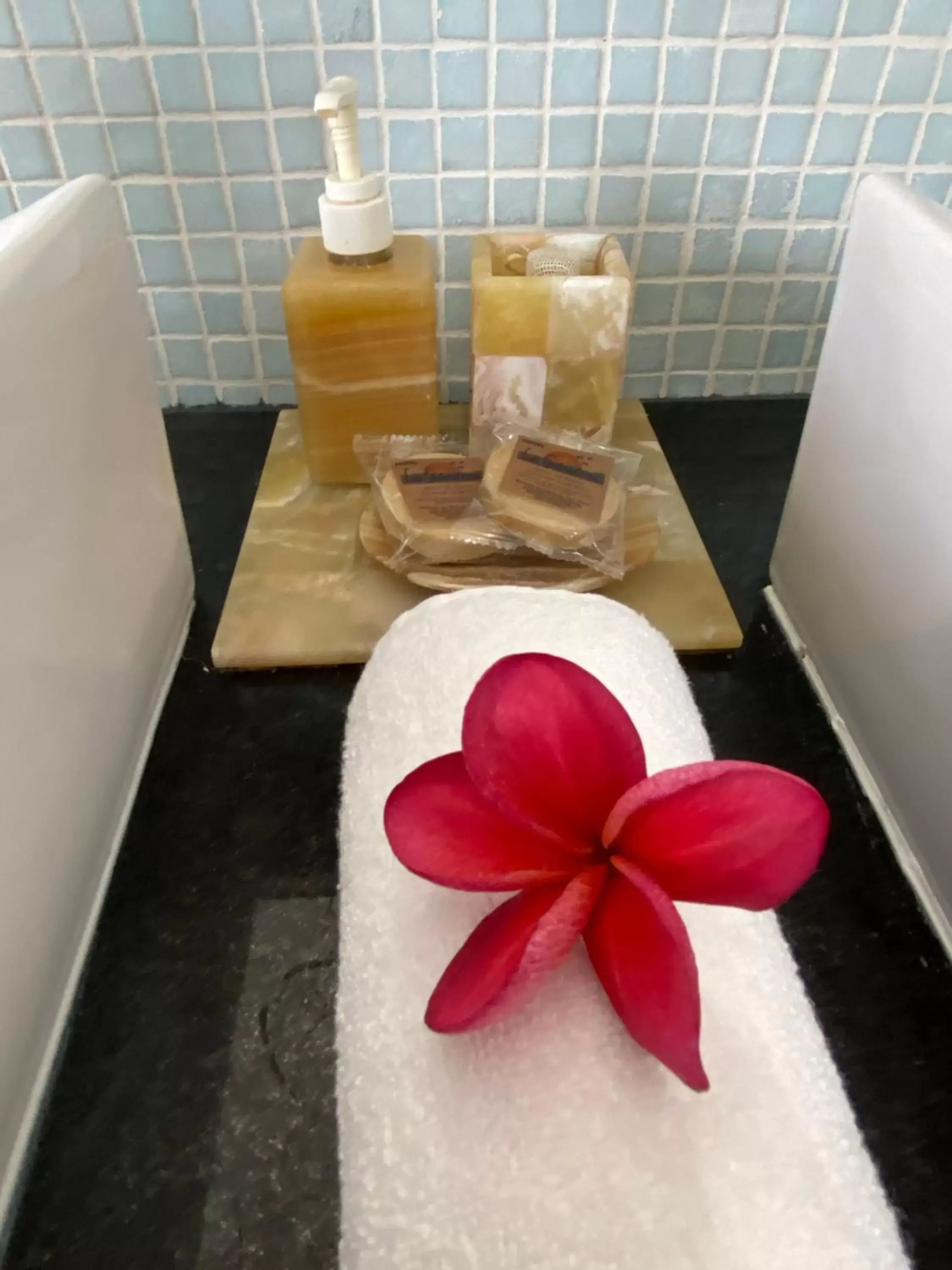 Bathroom in Hotel Las Golondrinas