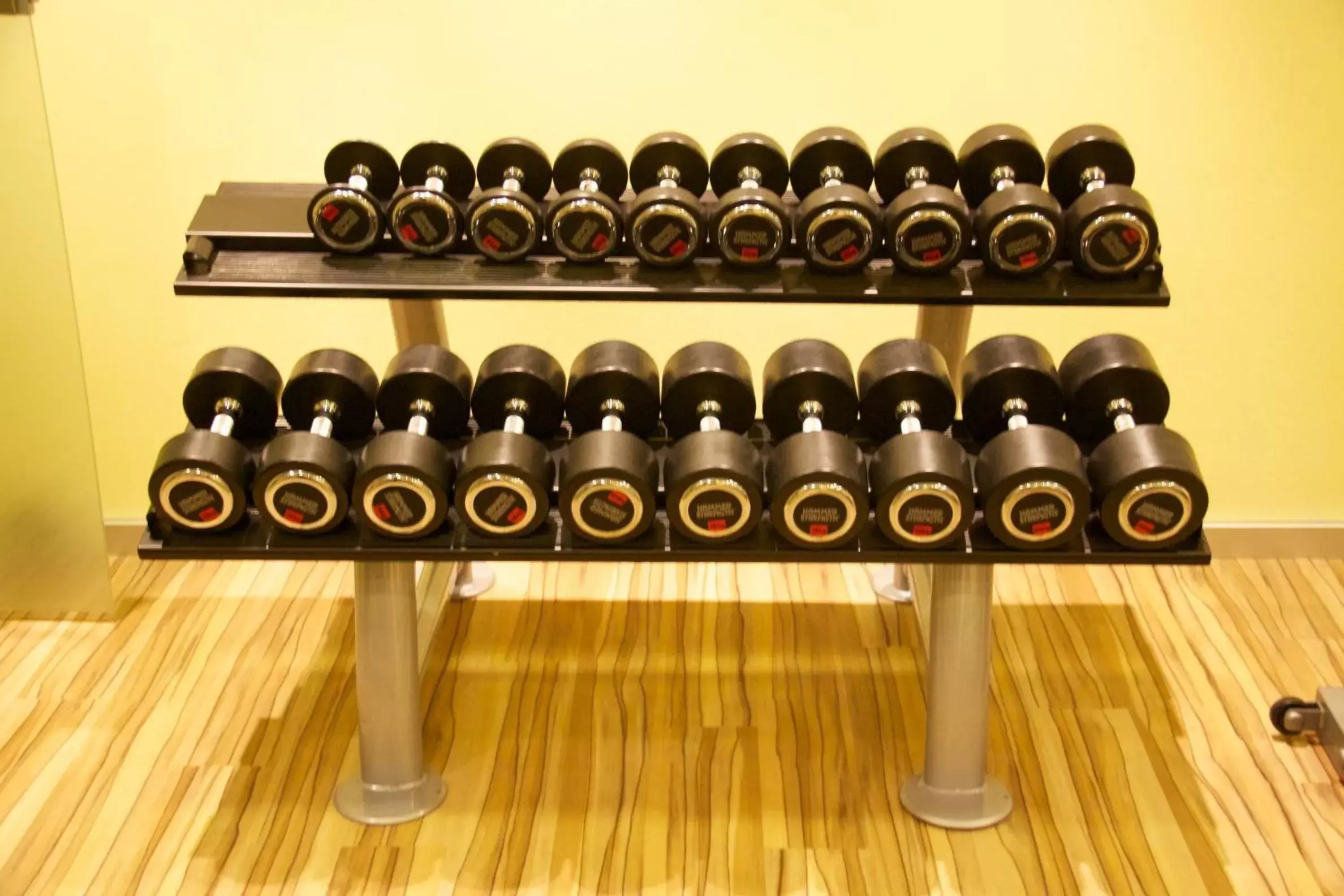 Fitness centre/facilities, Fitness Center/Facilities in Astralis Hotel Domizil