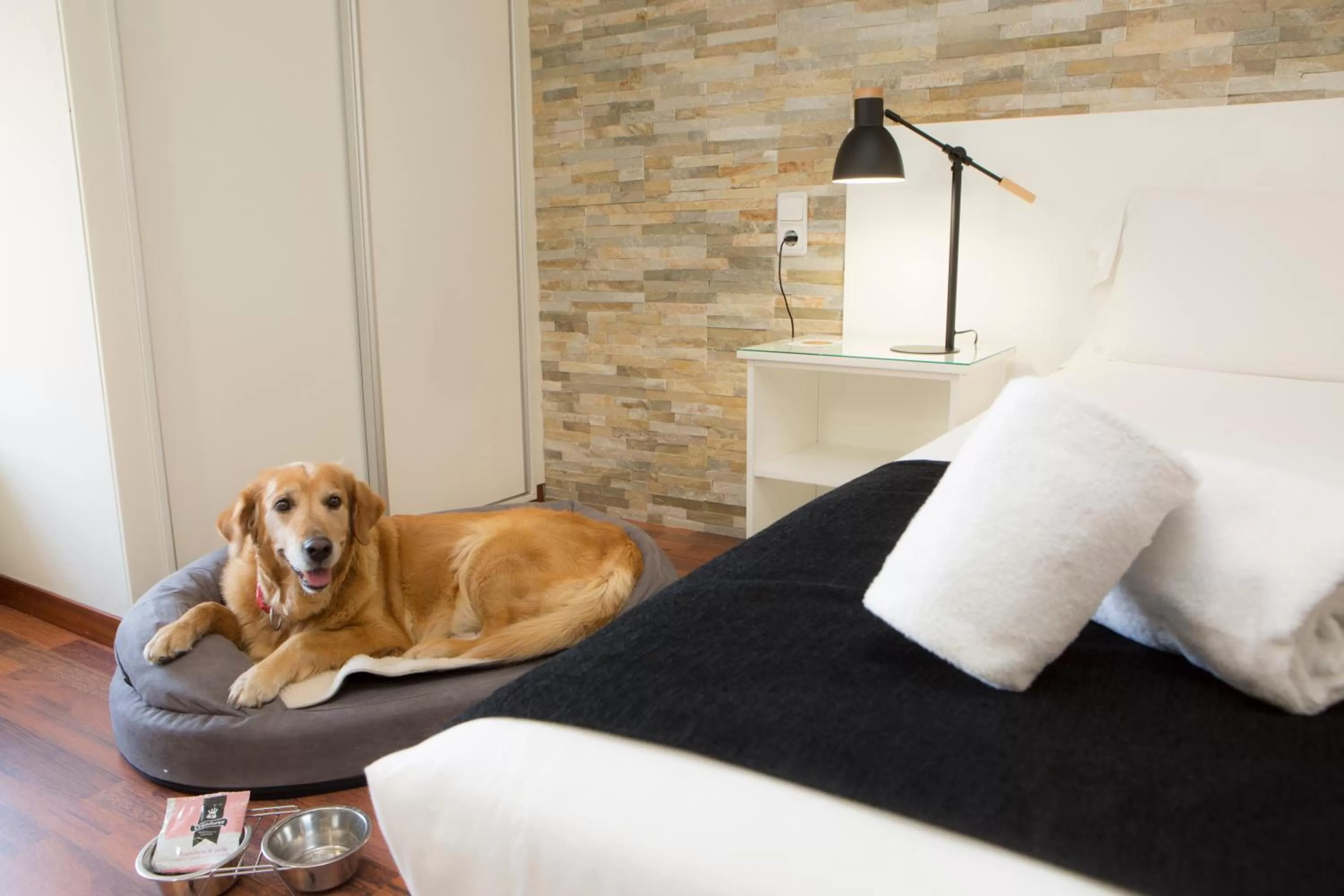 Pets, Bed in Casual de las Letras Sevilla