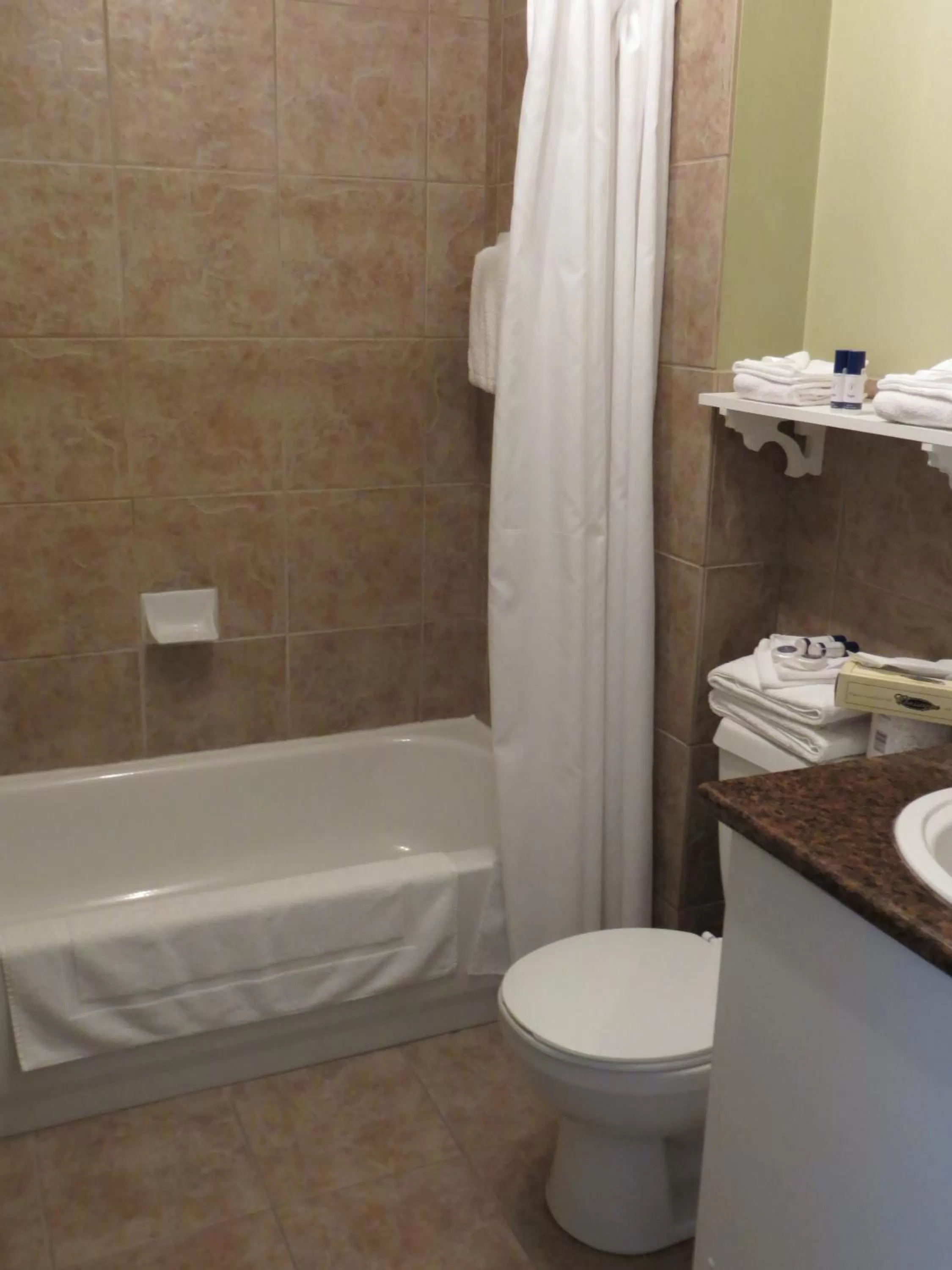 Standard Double Room in Hotel Le Voyageur