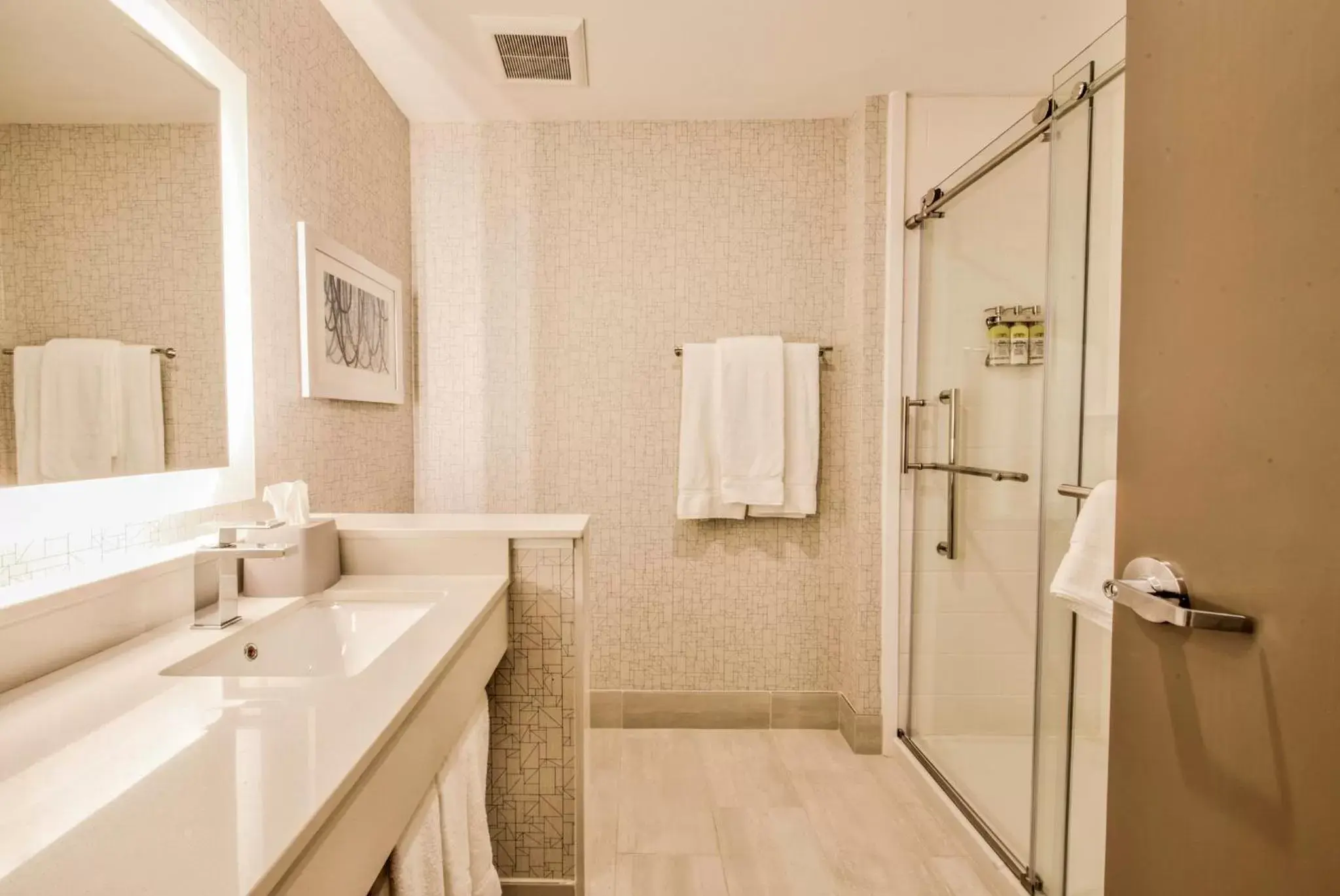 Bathroom in Holiday Inn Express & Suites - Farmers Branch, an IHG Hotel