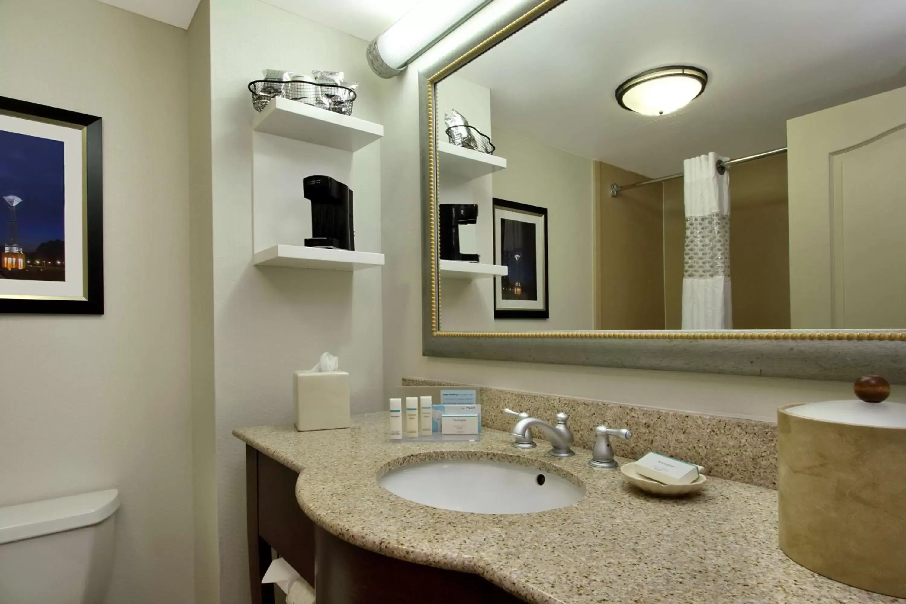 Bathroom in Hampton Inn & Suites-Florence Downtown