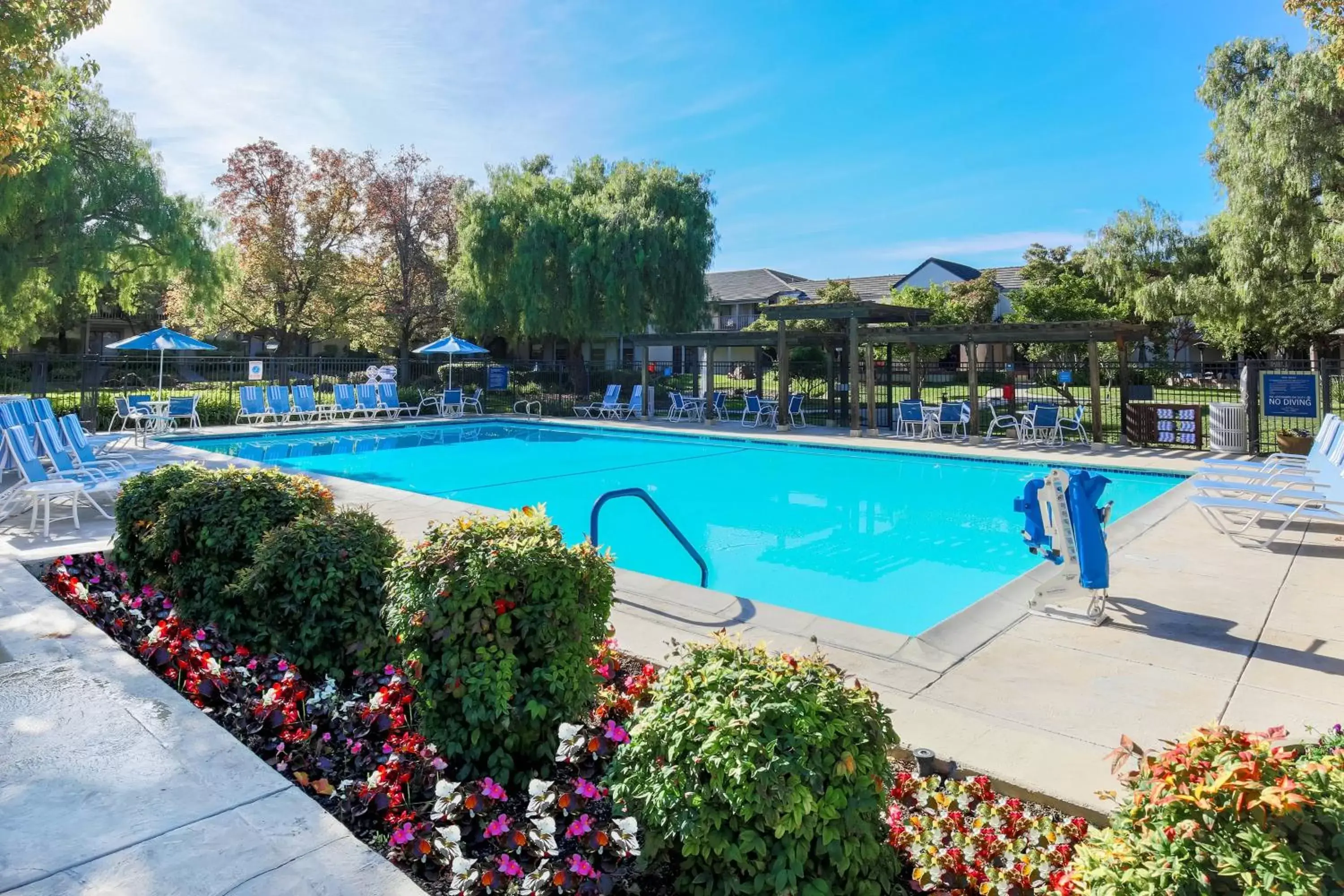 Swimming Pool in Four Points by Sheraton - Pleasanton