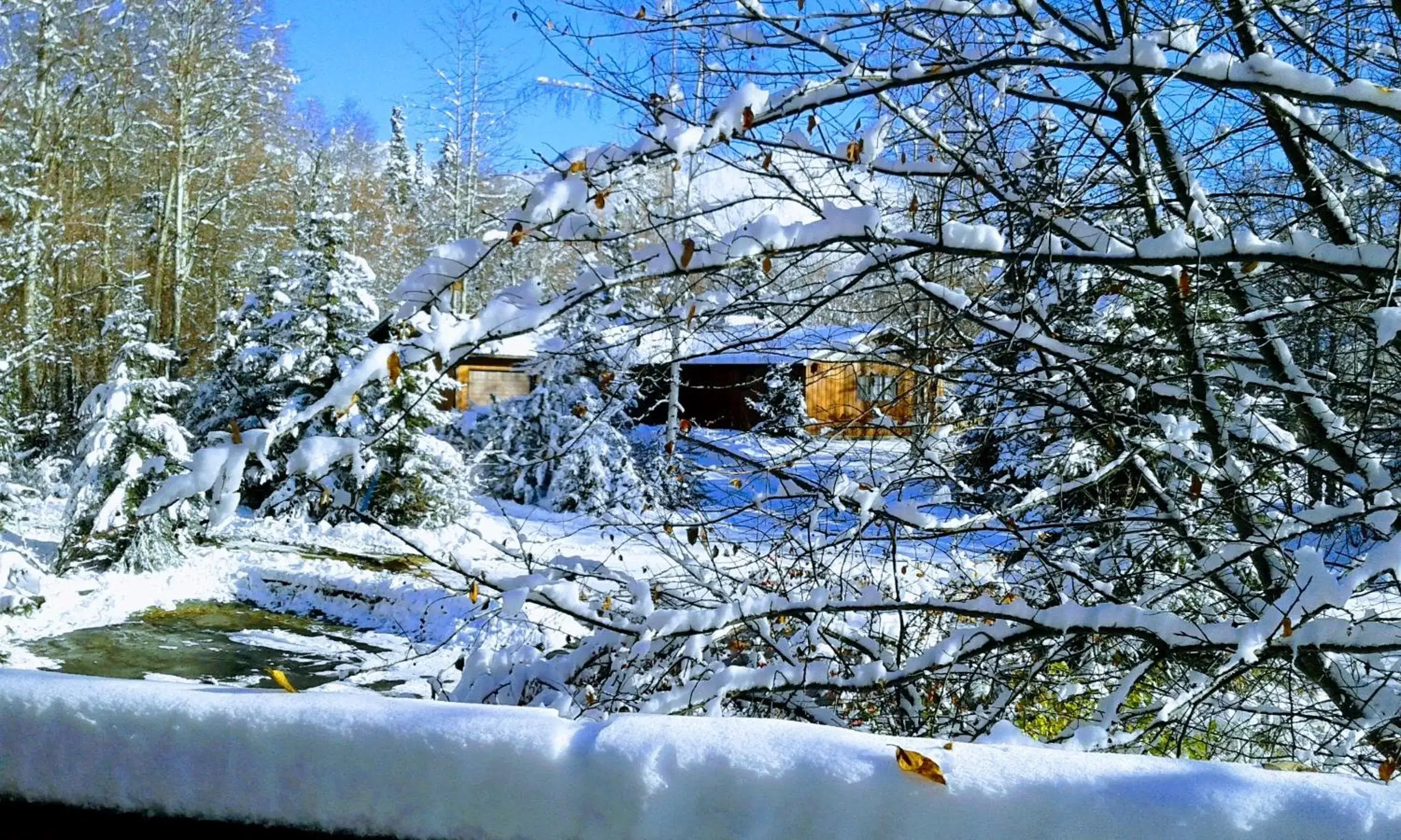 Winter in Alaska Chalet Bed & Breakfast