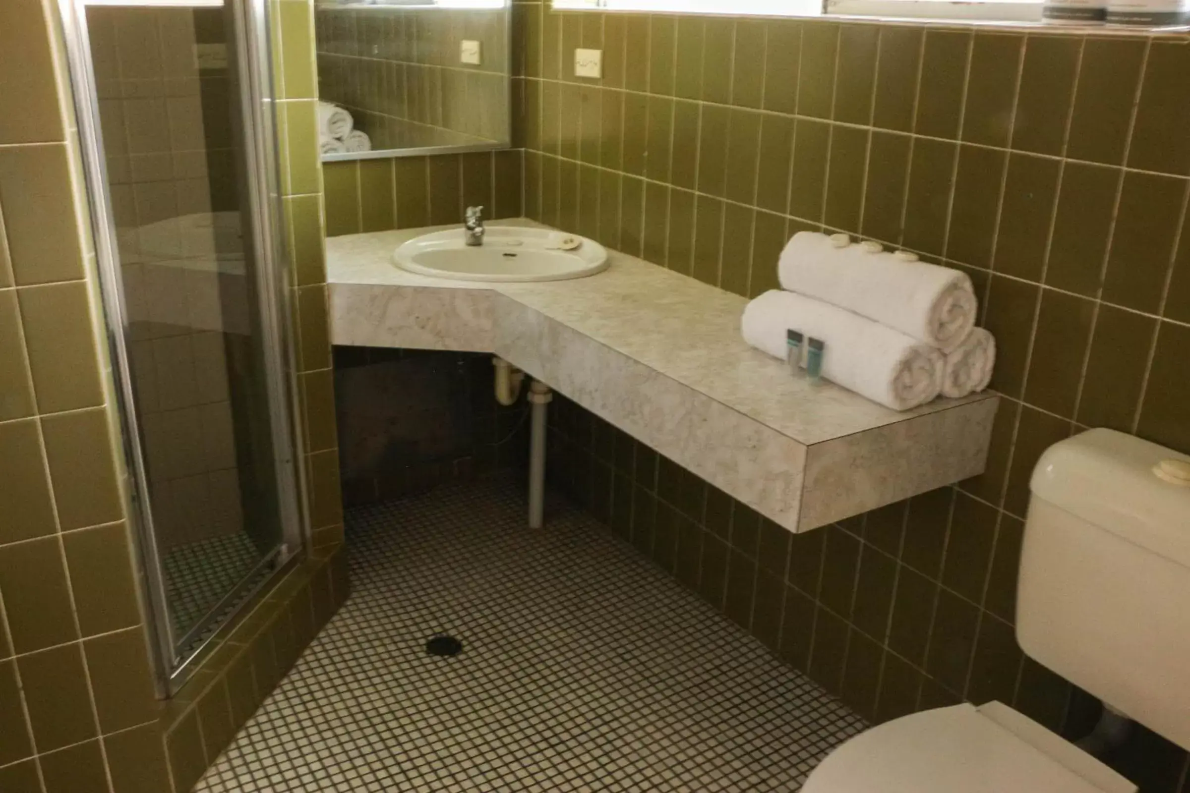Bathroom in Acacia Ridge Hotel & Motel Brisbane
