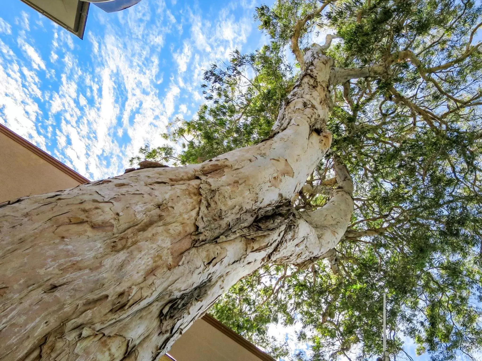 Natural landscape in Marlin Waters Beachfront Apartments