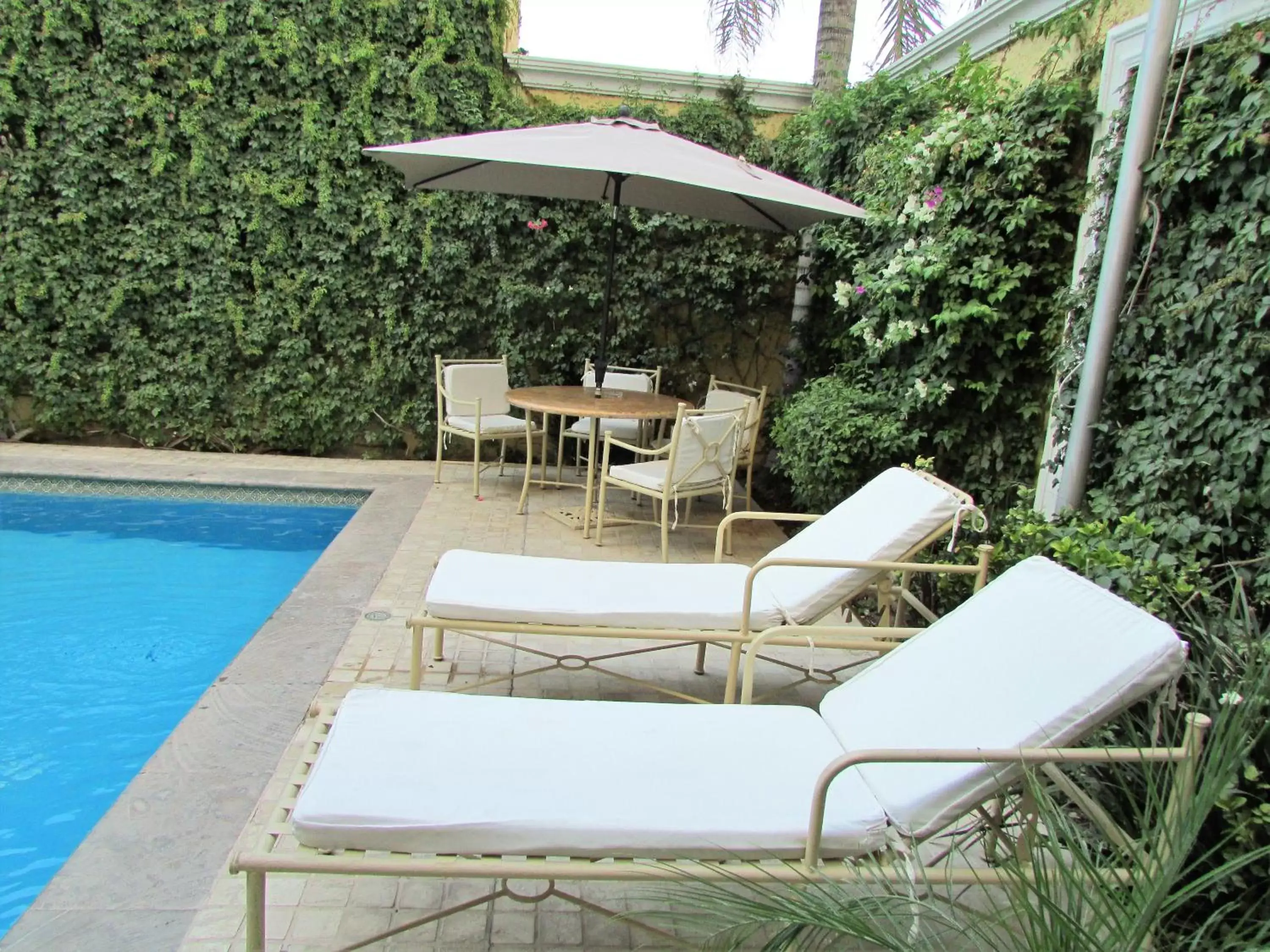 Swimming Pool in Best Western Hotel Posada Del Rio Express