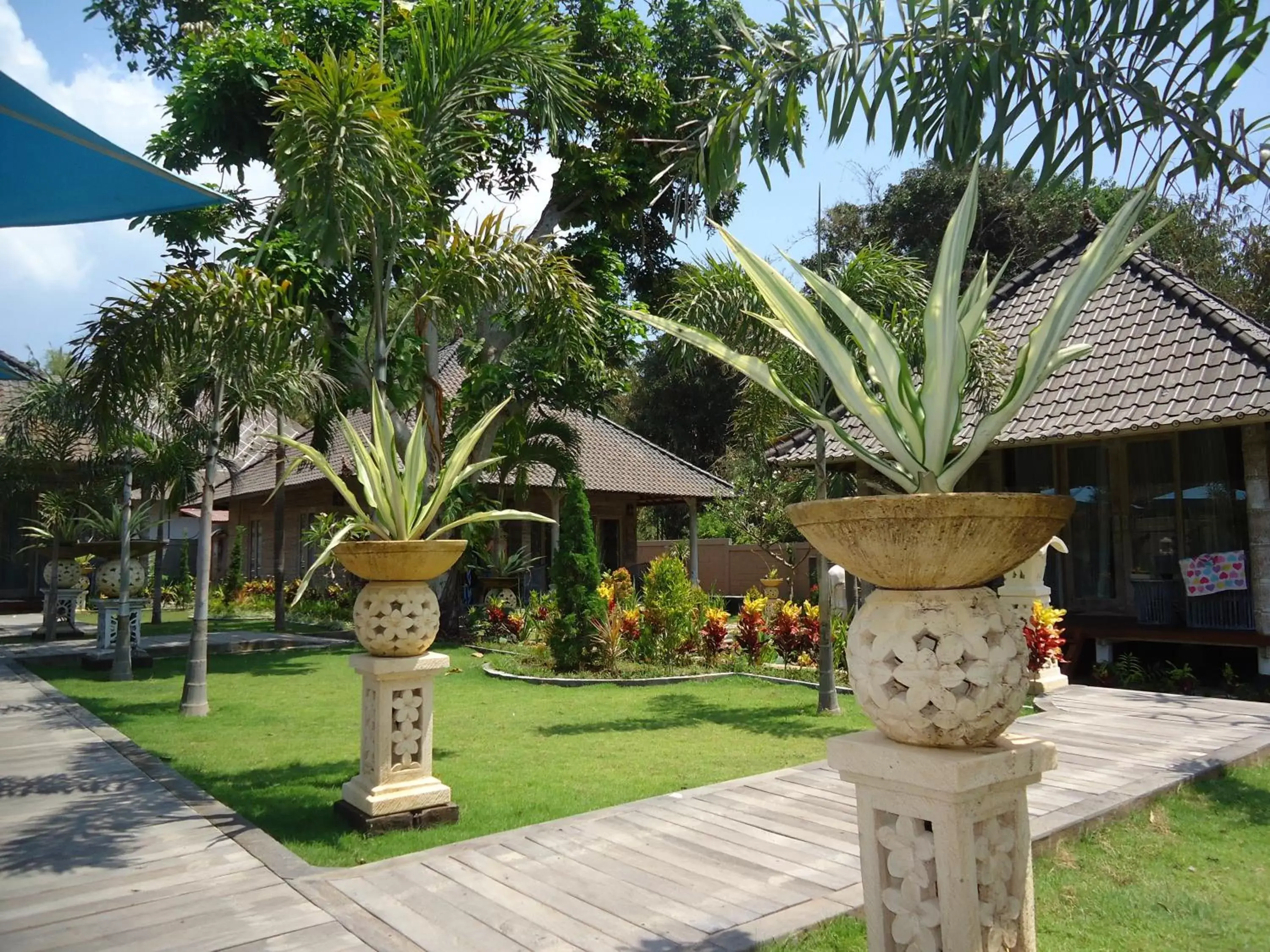 Garden in The Palm Grove Villas