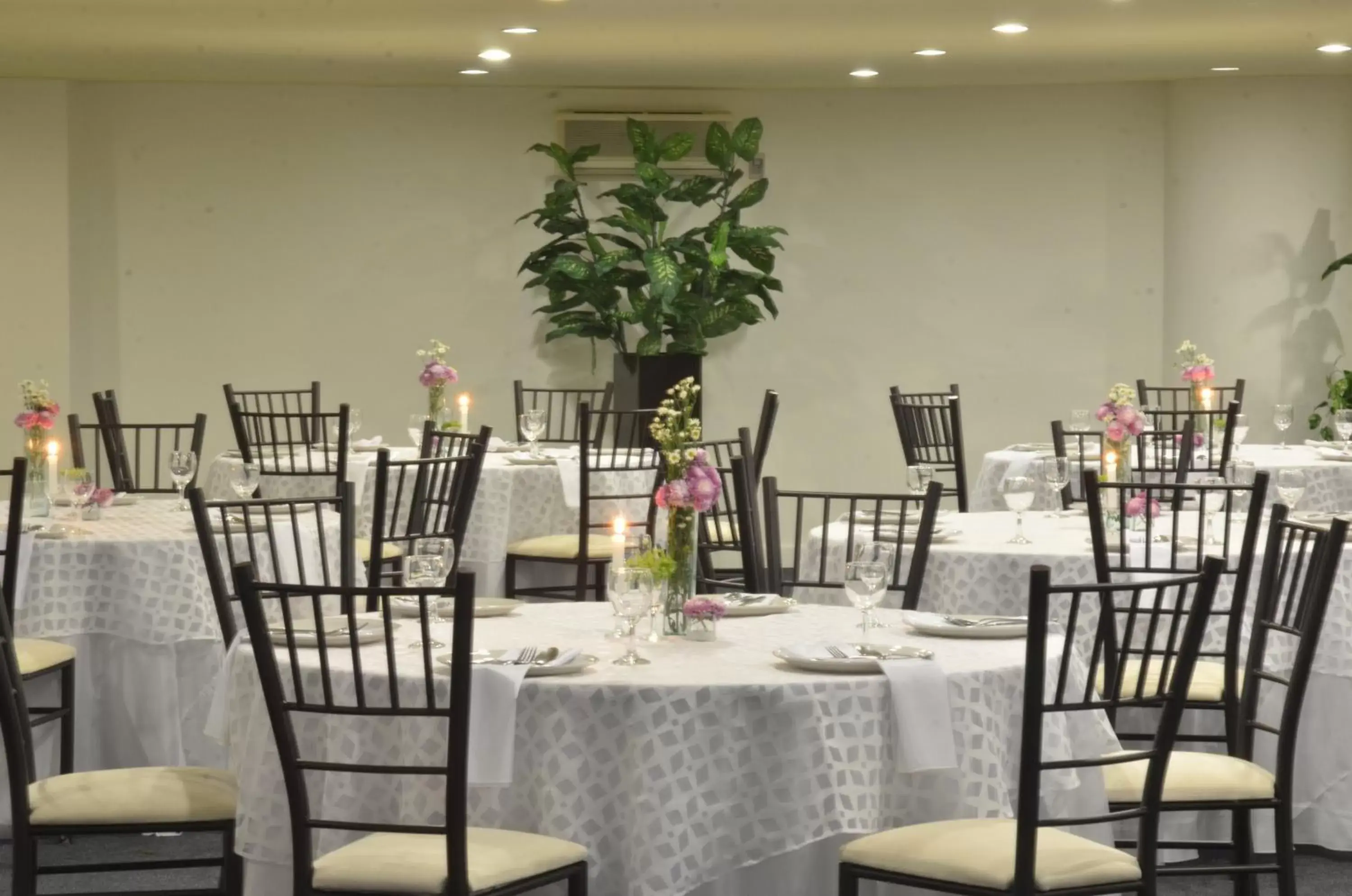 Restaurant/places to eat in Mision Monterrey Centro Historico Restaurant/places to eat in Mision Monterrey Centro Historico