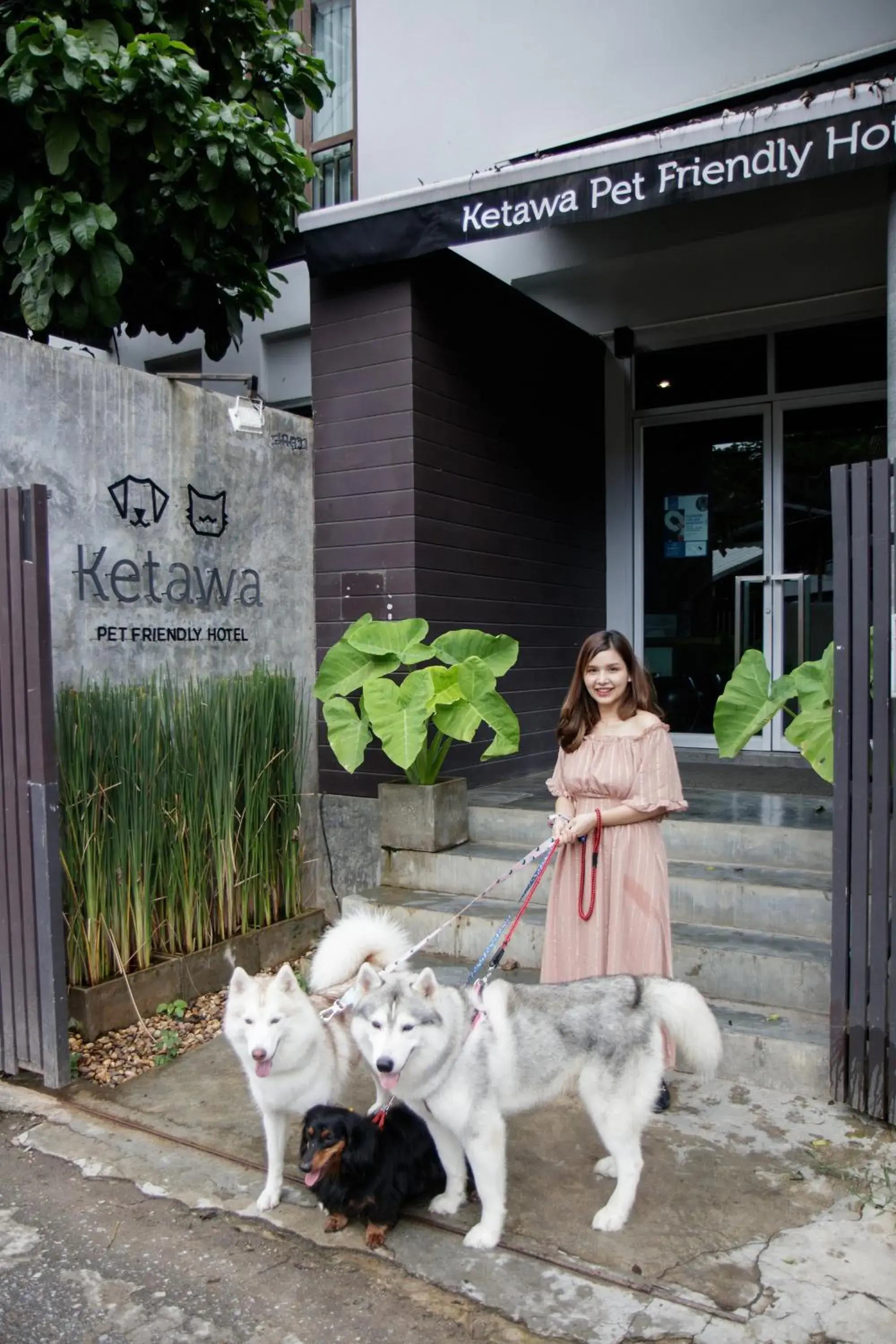 Facade/entrance, Pets in Ketawa Pet Friendly Hotel