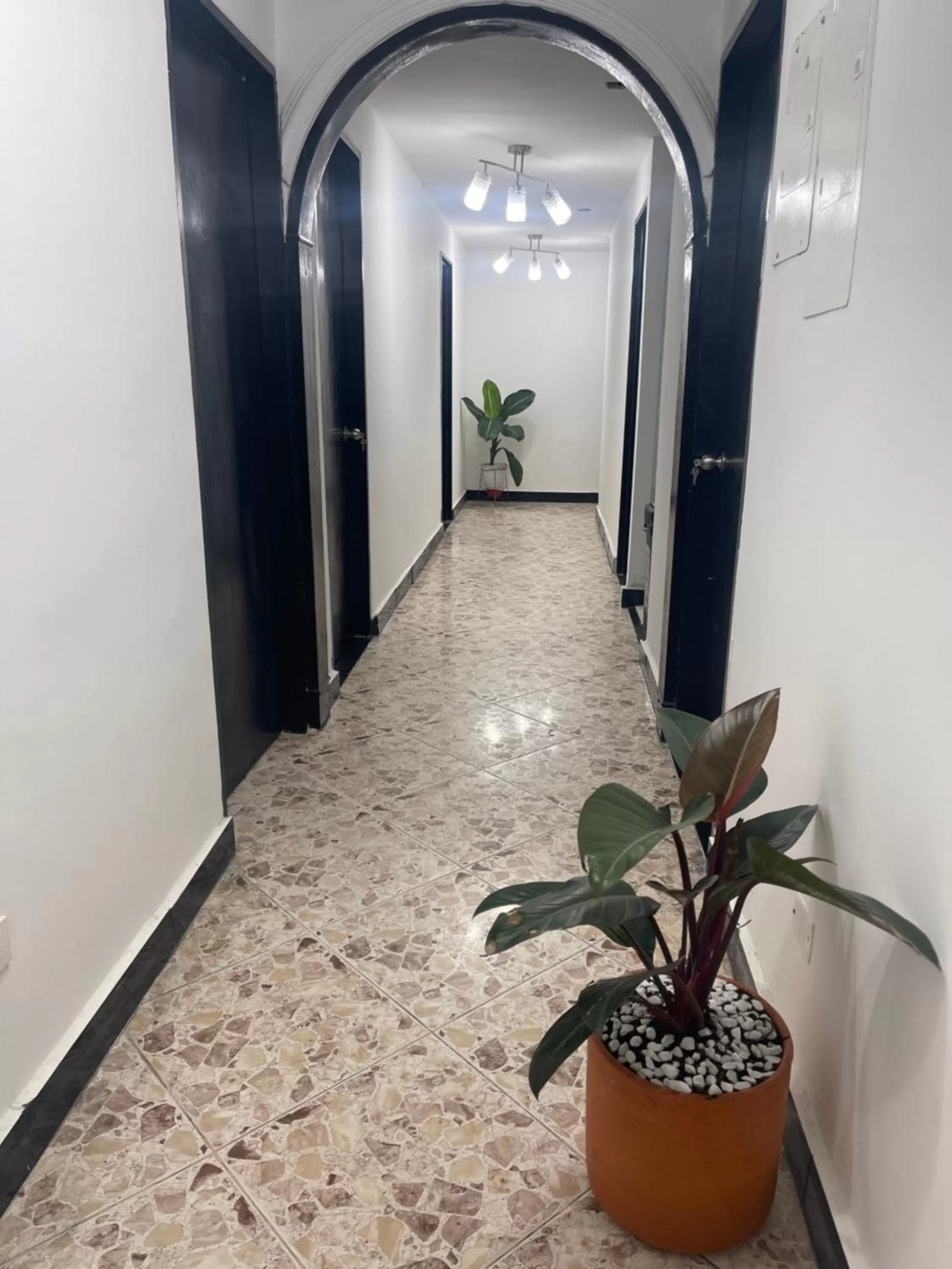 Property building in Hotel De León Estadio