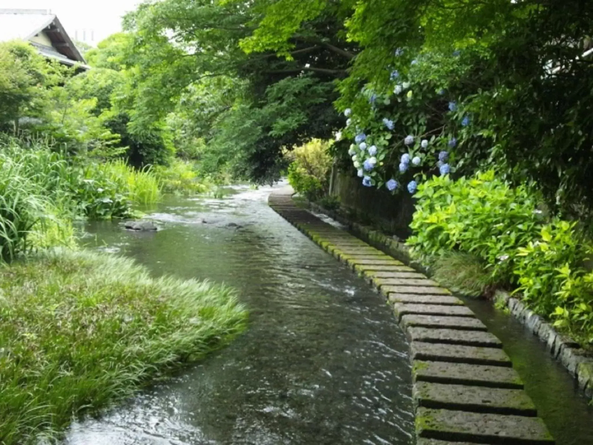 Nearby landmark in Sanco Inn Numazu Ekimae