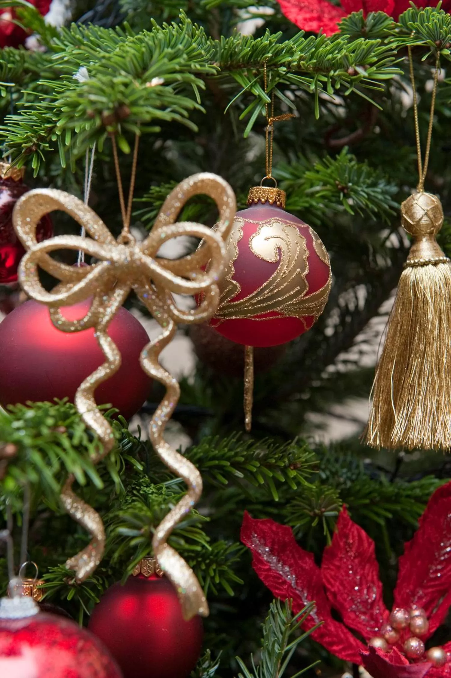 Winter in The Grange at Oborne